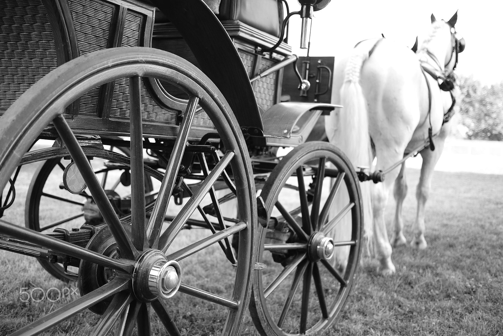 Panasonic Lumix DMC-GF1 + LUMIX G 20/F1.7 II sample photo. Wagon wheel, Đakovo, croatia. photography