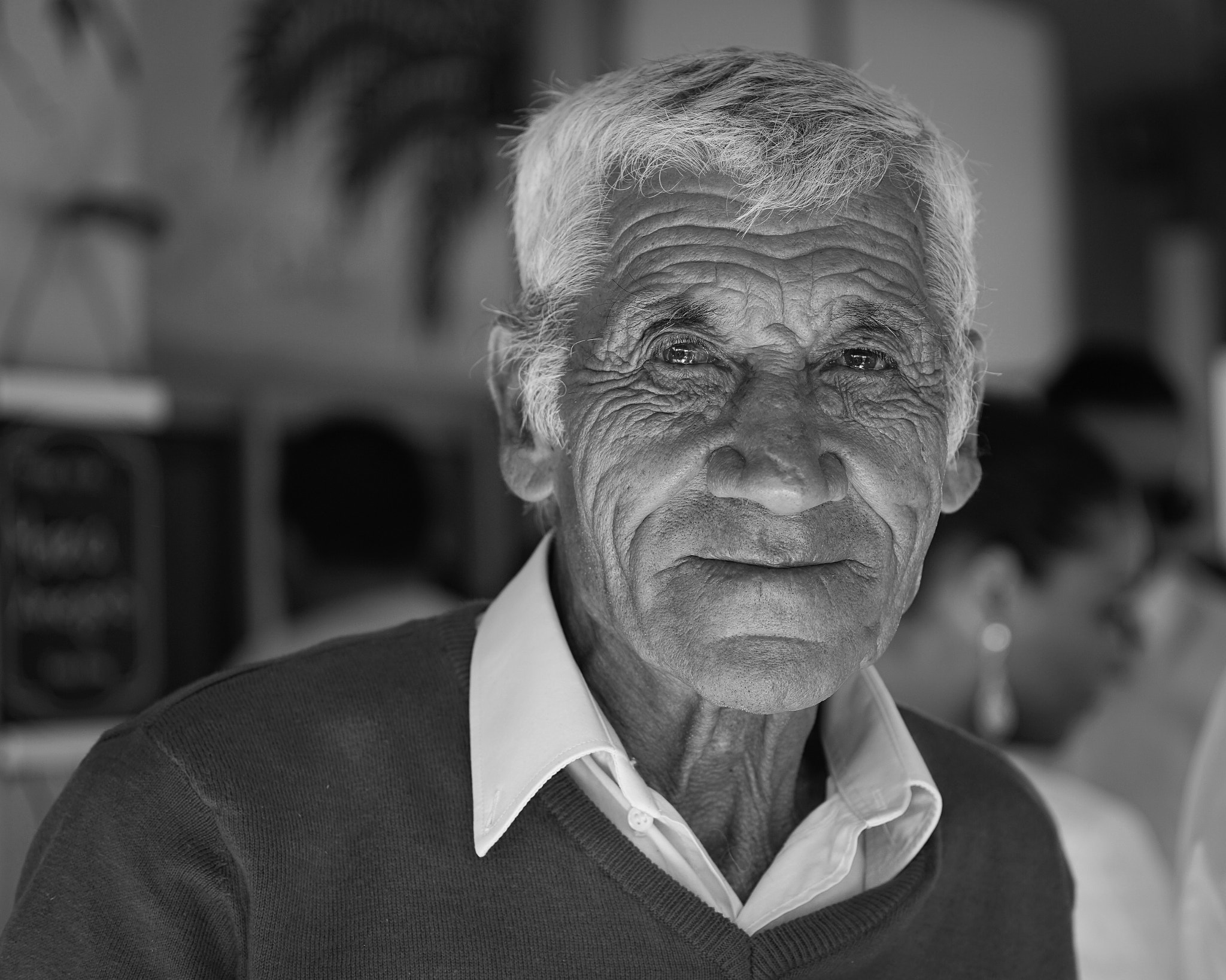 Sony a6000 + Sigma 60mm F2.8 DN Art sample photo. New friend photography