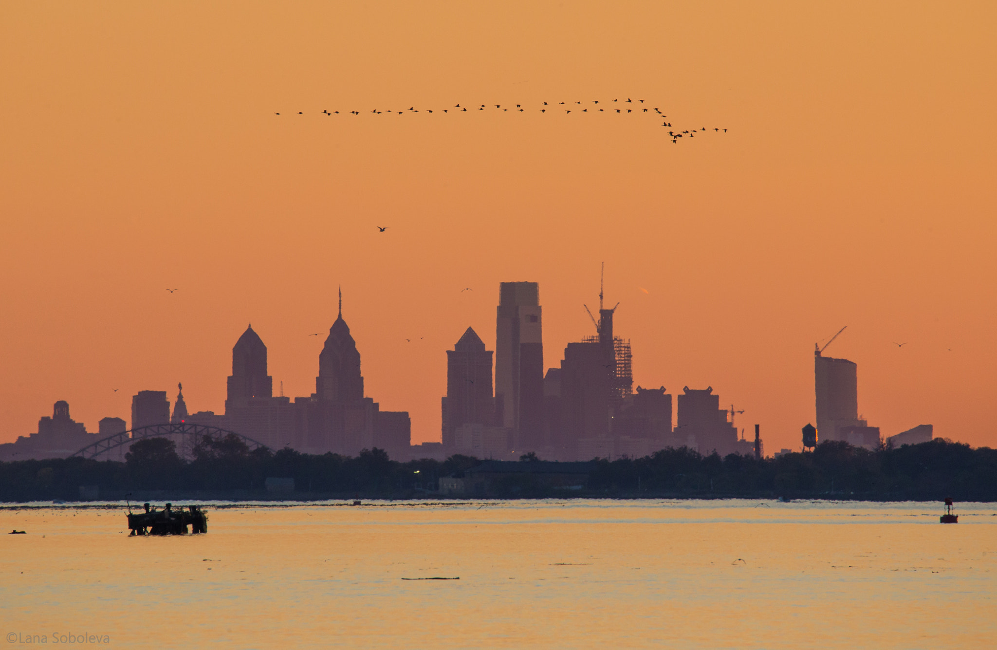 150-600mm F5-6.3 DG OS HSM | Contemporary 015 sample photo. Fall over philly photography
