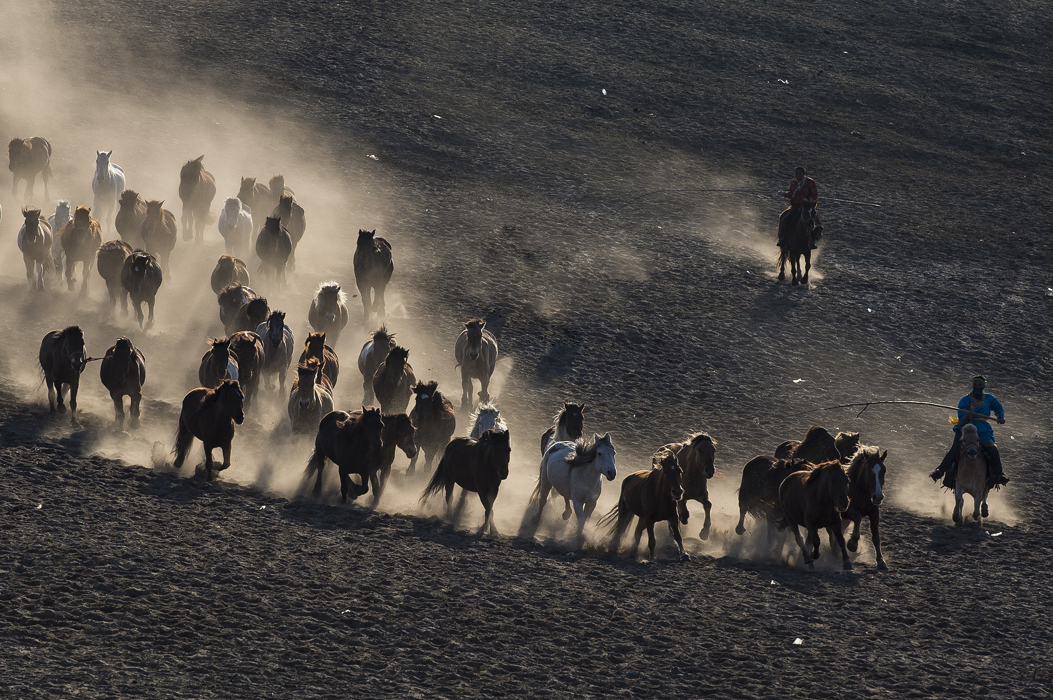 Nikon D4S sample photo. A galloping horse photography