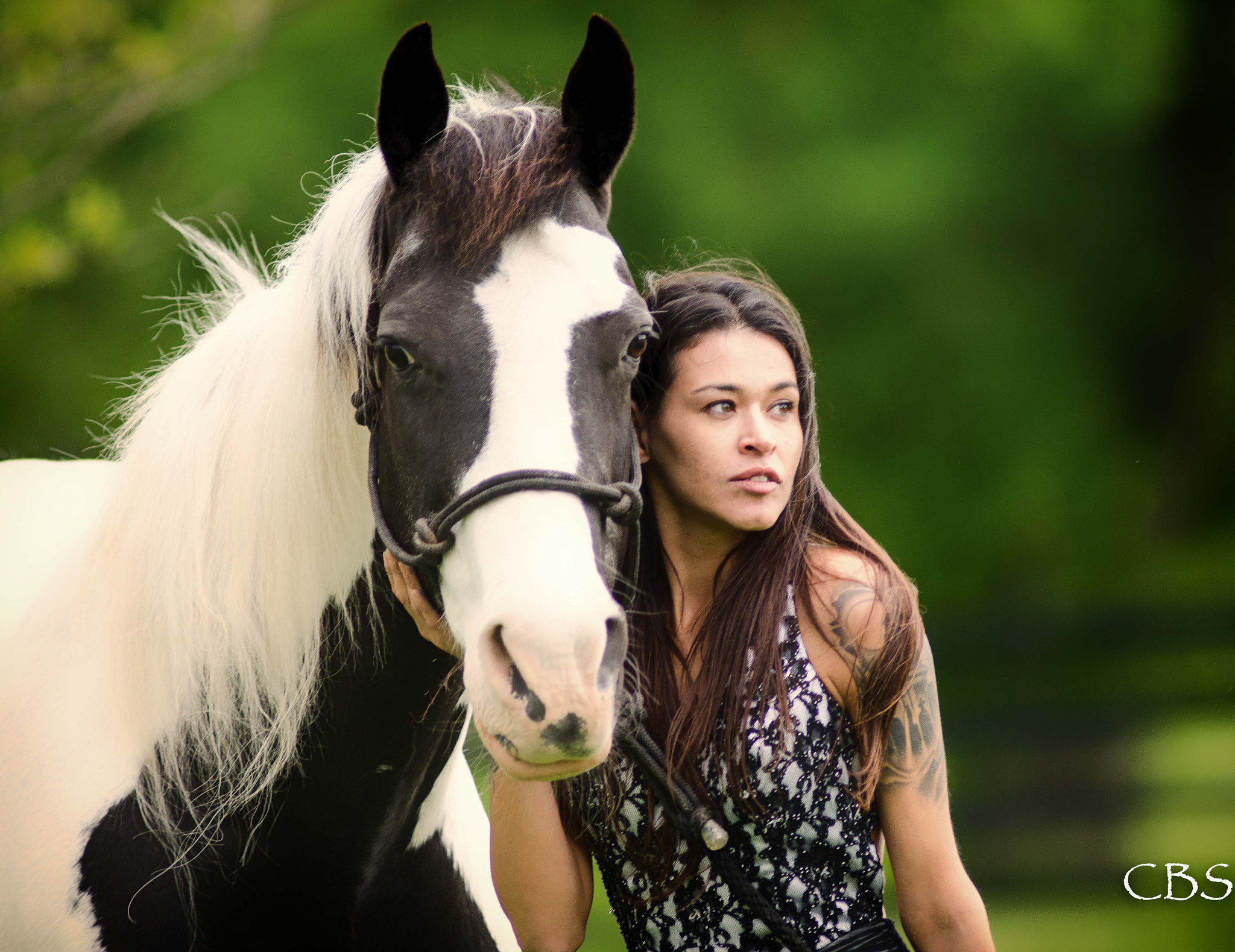 Nikon AF-S Nikkor 300mm F2.8G ED VR II sample photo. Horse and cat photography