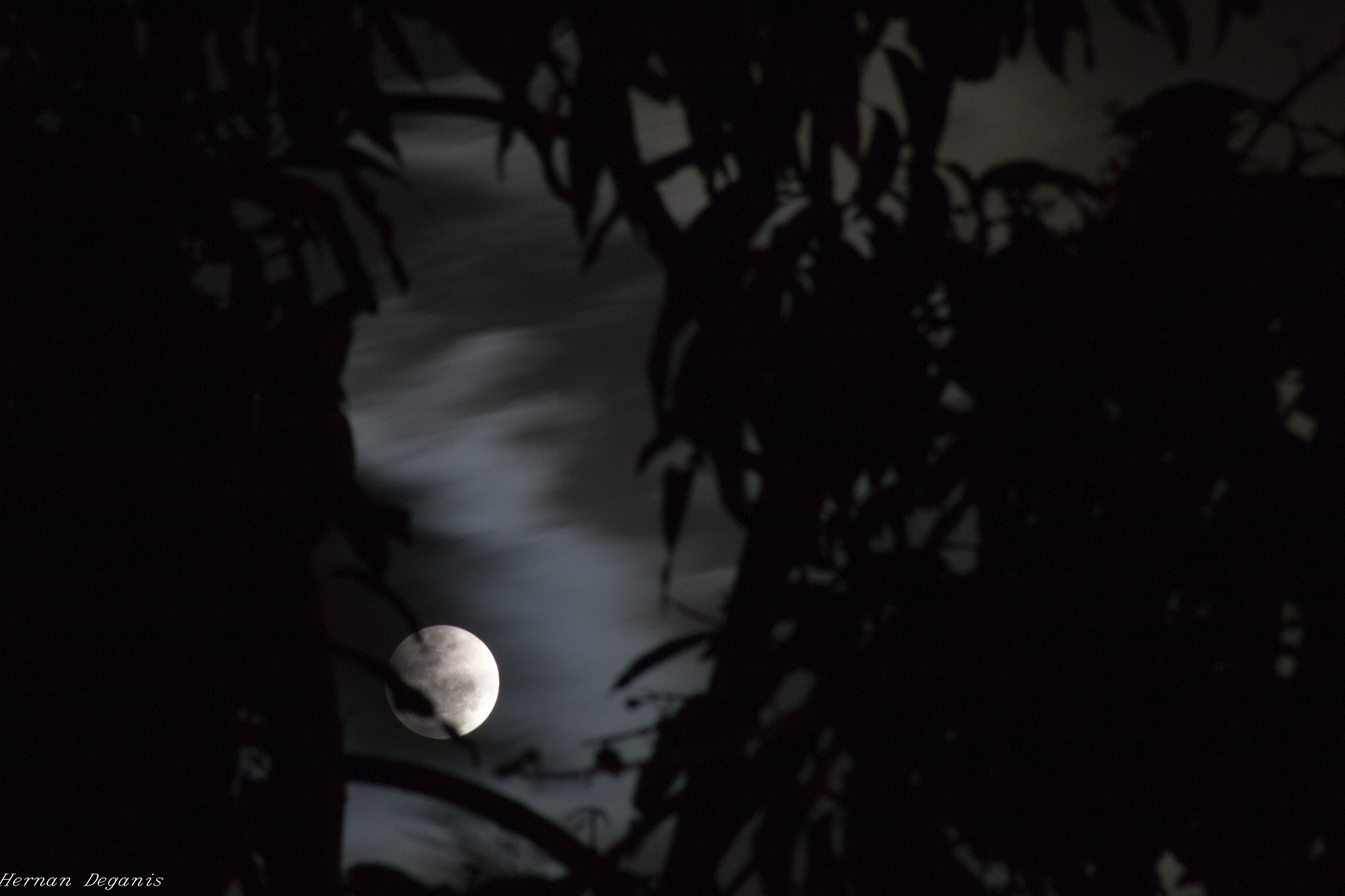 Canon EF 80-200mm F4.5-5.6 II sample photo