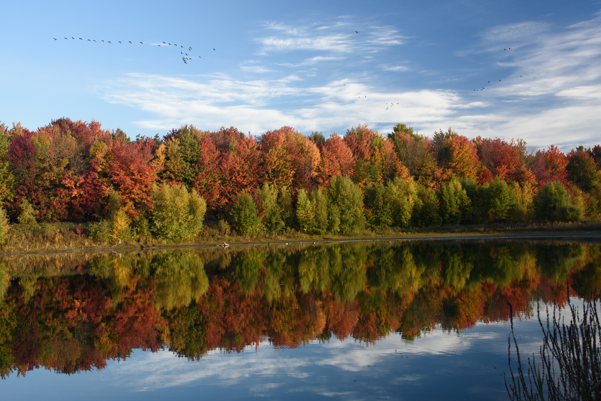 Nikon D750 + AF Zoom-Nikkor 35-70mm f/2.8D sample photo. Fall in ottawa photography