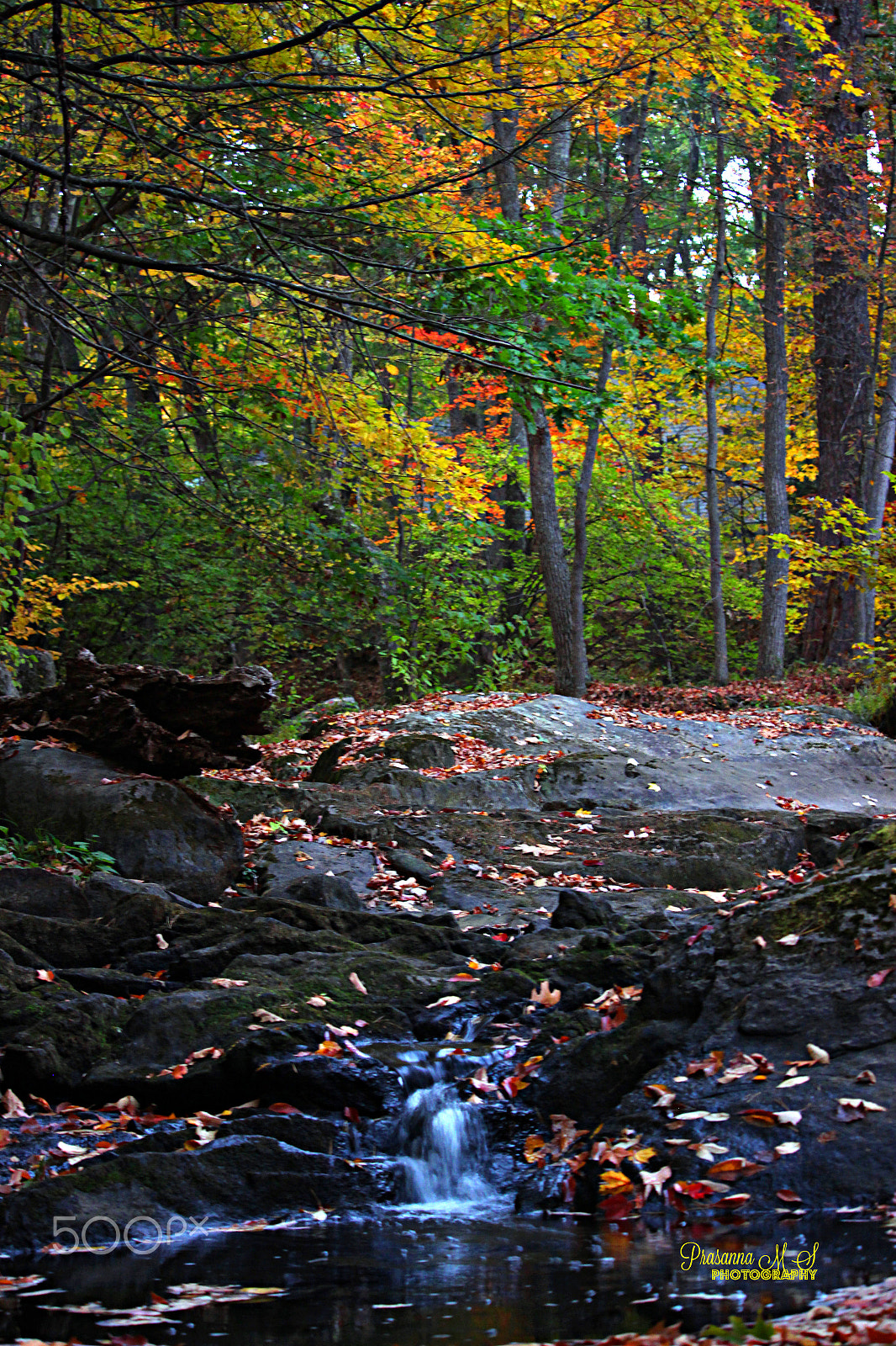 55.0 - 250.0 mm sample photo. Small cascade fall colors photography