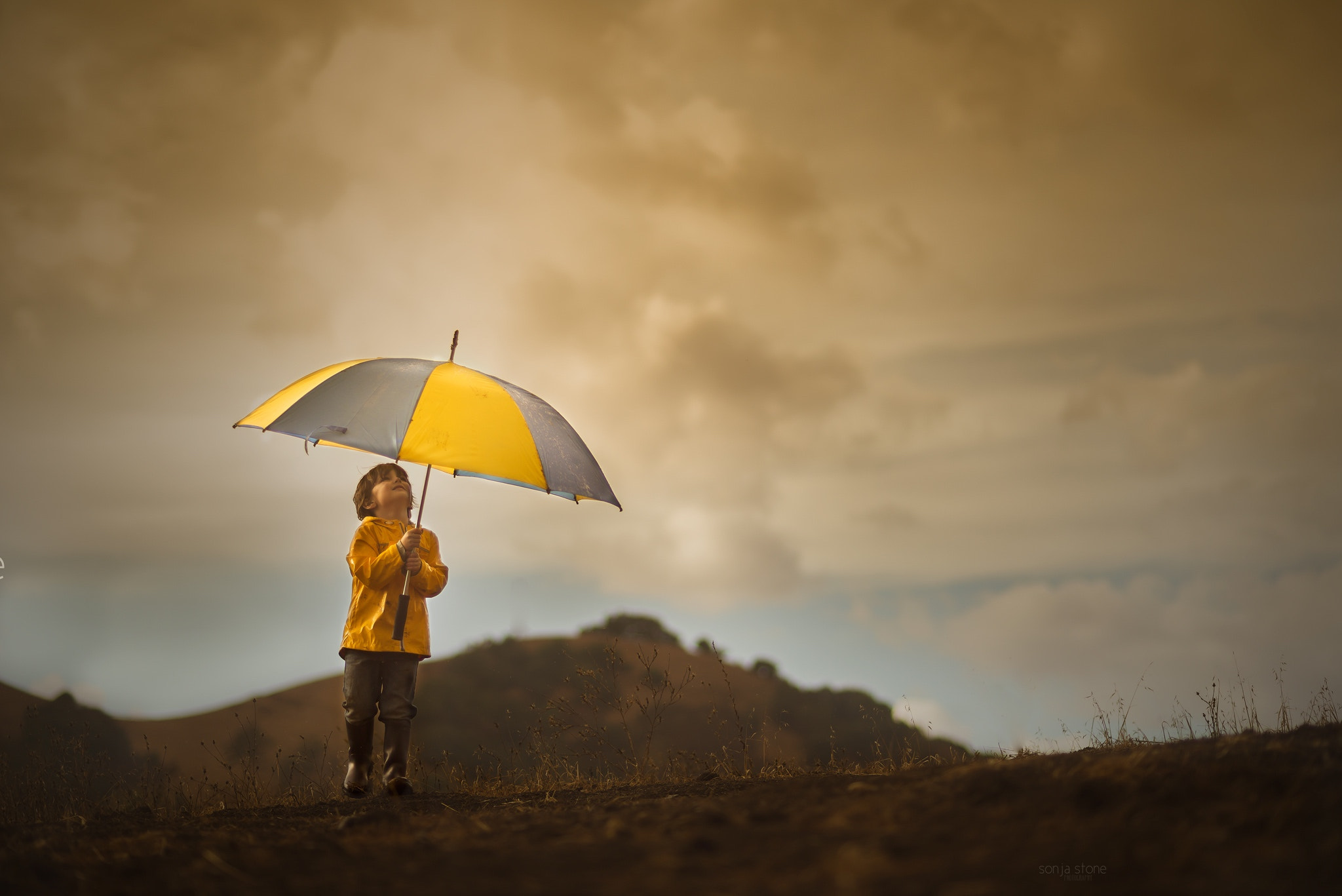 Nikon D600 + AF Nikkor 85mm f/1.8 sample photo. Rain photography