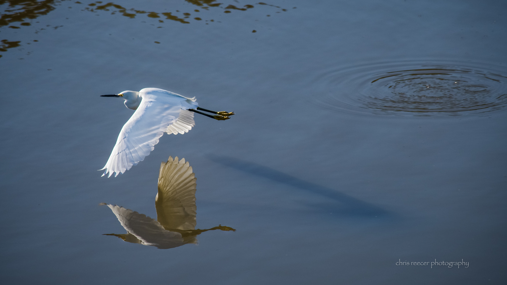 Nikon D500 sample photo. Come with me... photography