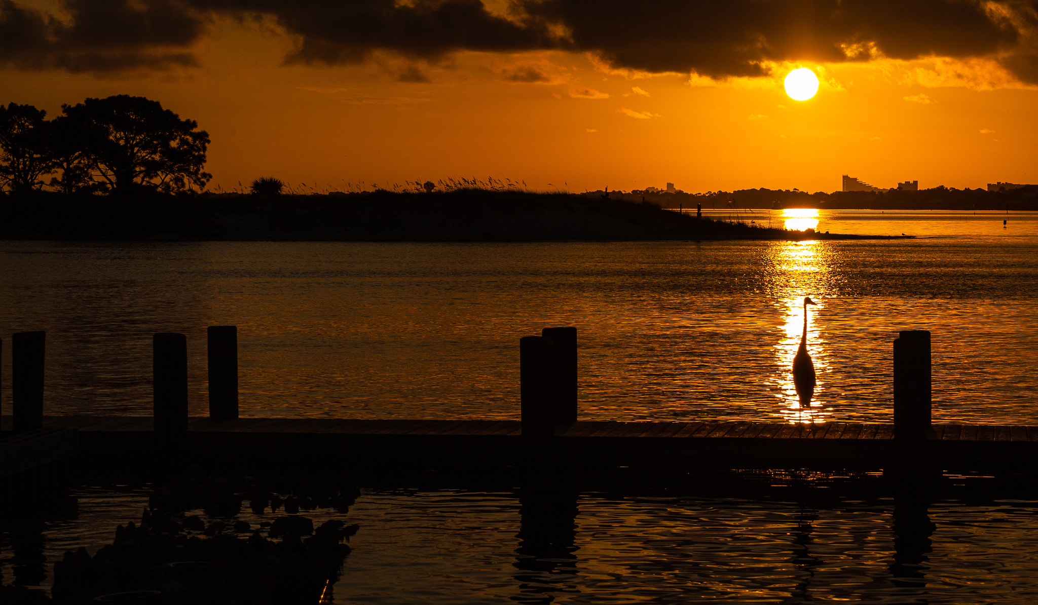 Canon EOS 50D sample photo. Looking at a beautiful day photography