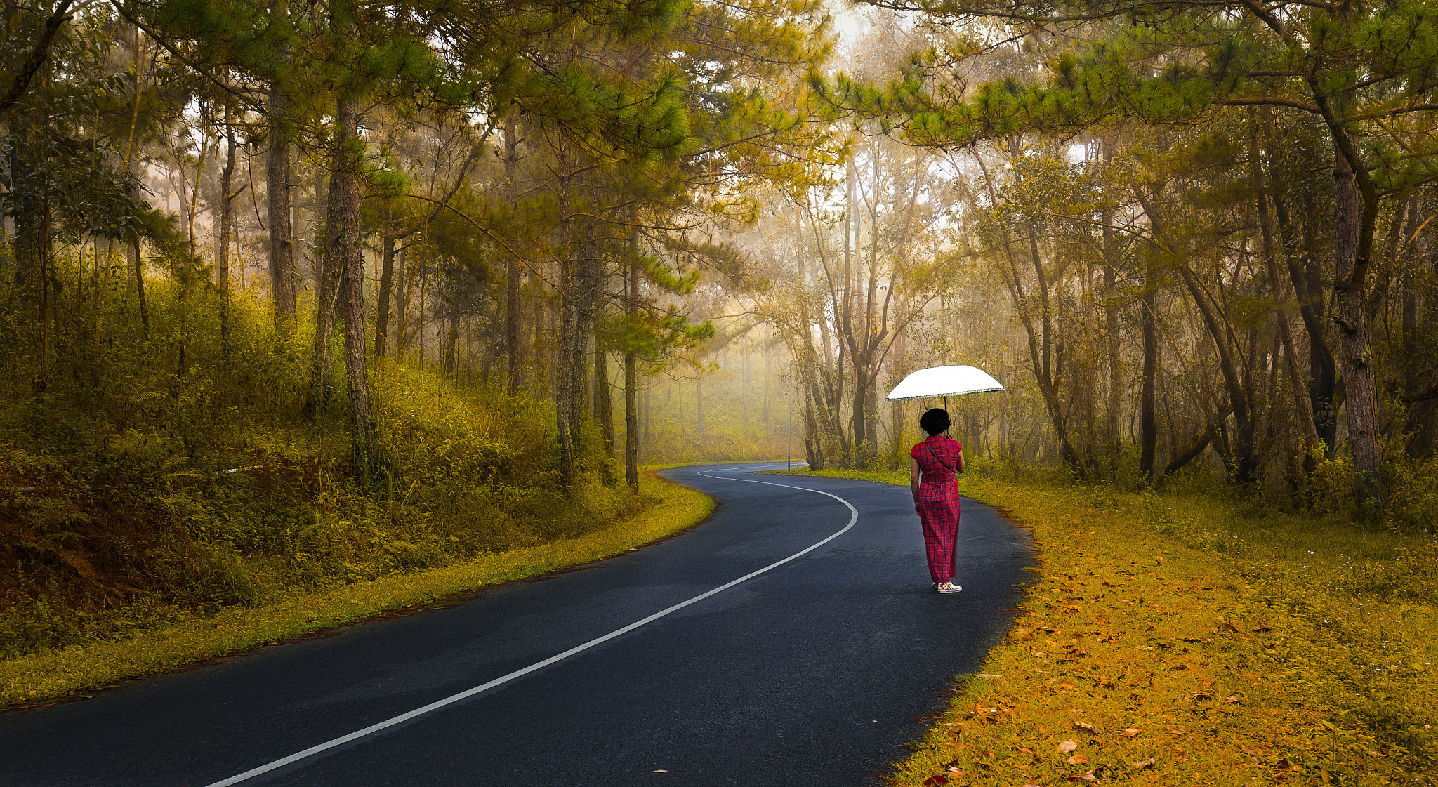 Canon EOS 6D + Canon EF 16-35mm F4L IS USM sample photo. Autumn  alone photography