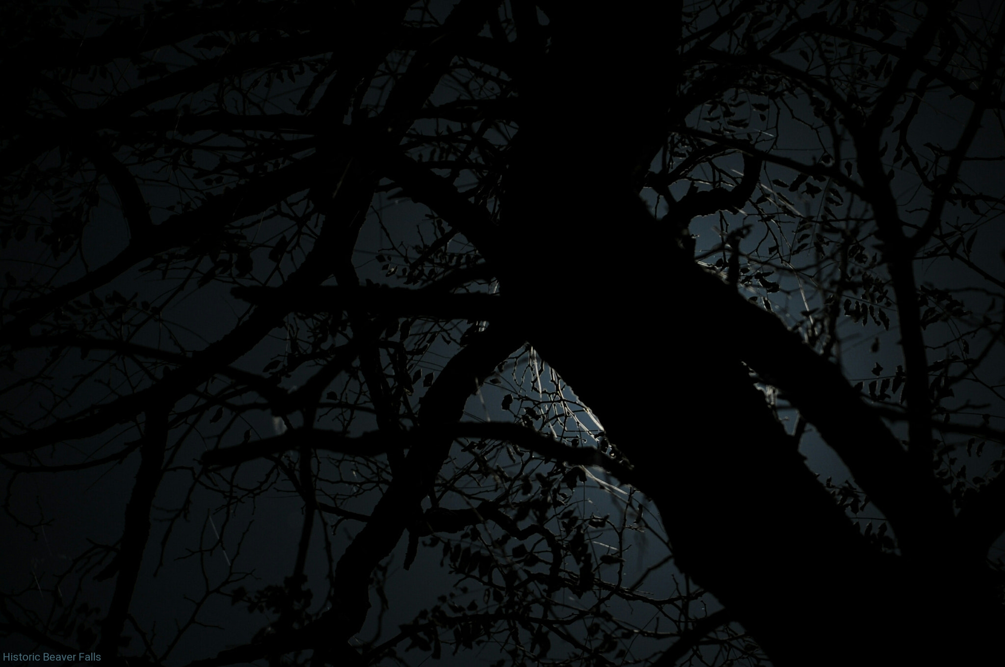 Nikon D3 sample photo. Hiding photography