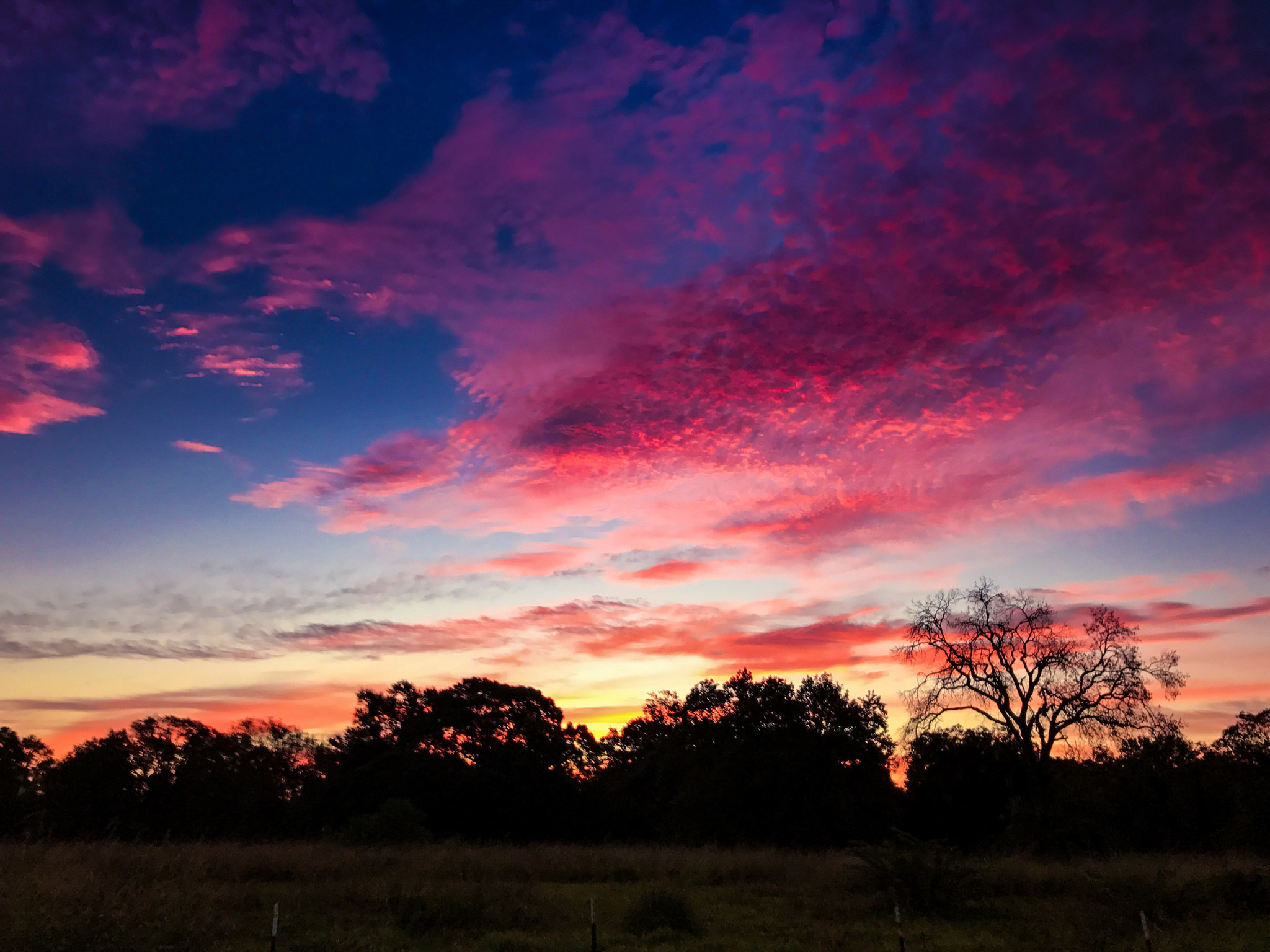 Apple iPhone 7 Plus sample photo. A cypress, tx sunrise... photography