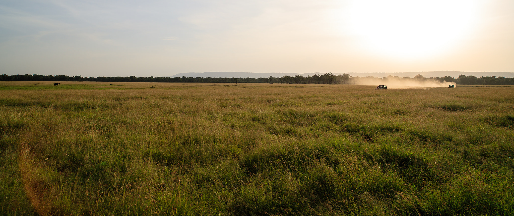 Canon EOS-1D X Mark II sample photo. African vignette photography