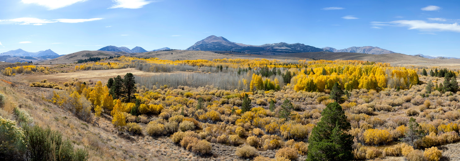 Canon EF 50mm F2.5 Macro sample photo. Fall color on summit photography