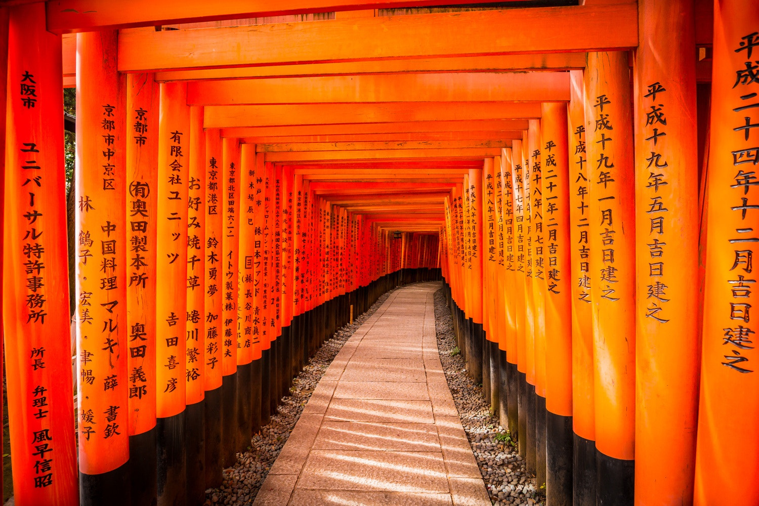 Sony a6000 + ZEISS Touit 12mm F2.8 sample photo. Tori heaven photography