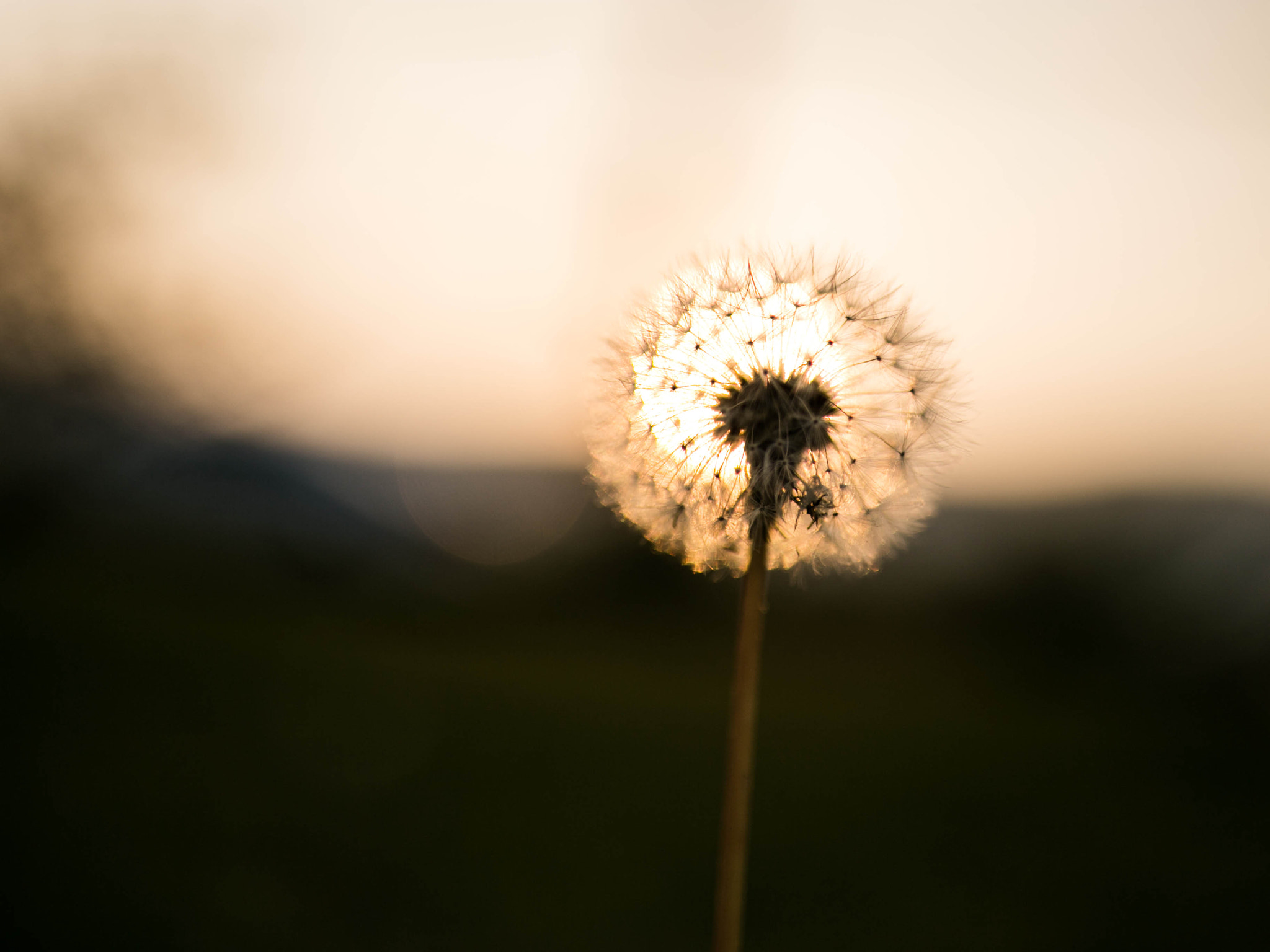 Tamron SP 35mm F1.8 Di VC USD sample photo. Sunset photography