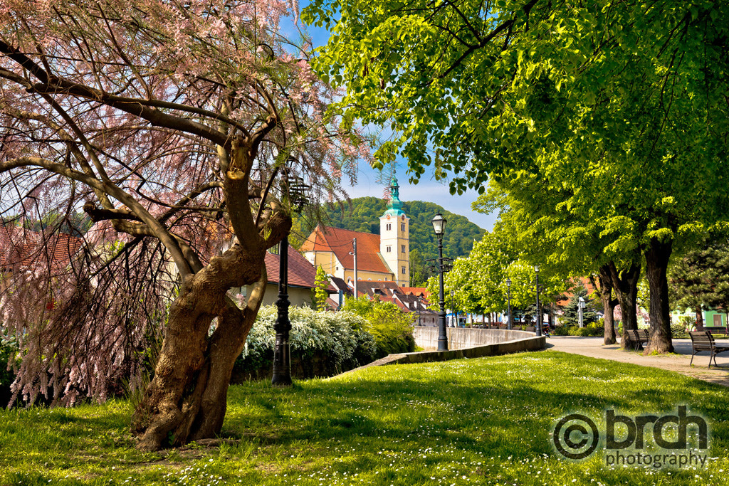 Canon EOS 6D + Canon EF 16-35mm F4L IS USM sample photo. Town of samobor park and church photography