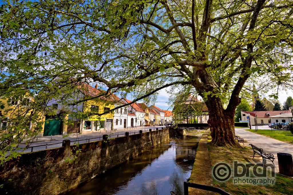 Canon EOS 6D + Canon EF 16-35mm F4L IS USM sample photo. Town of samobor river and park photography