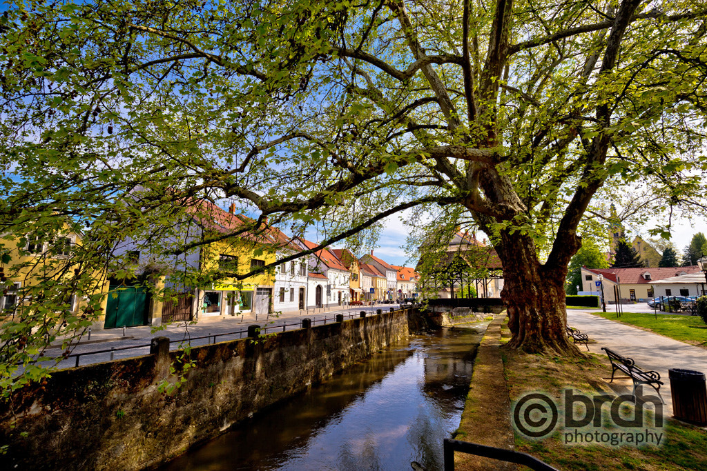 Canon EF 16-35mm F4L IS USM sample photo. Town of samobor river and park photography
