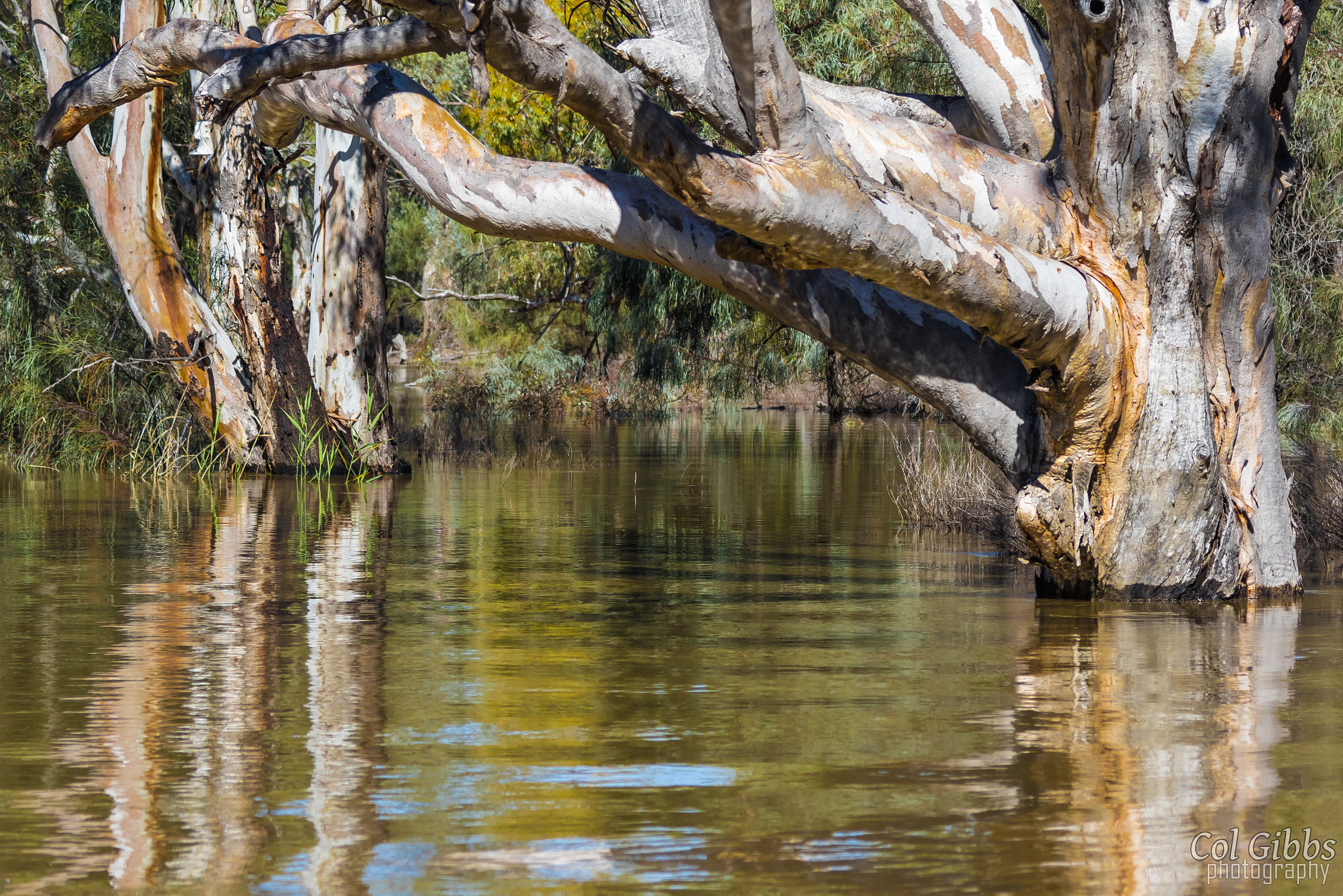 Canon EF 70-200mm F4L IS USM sample photo. Riverland reflections photography