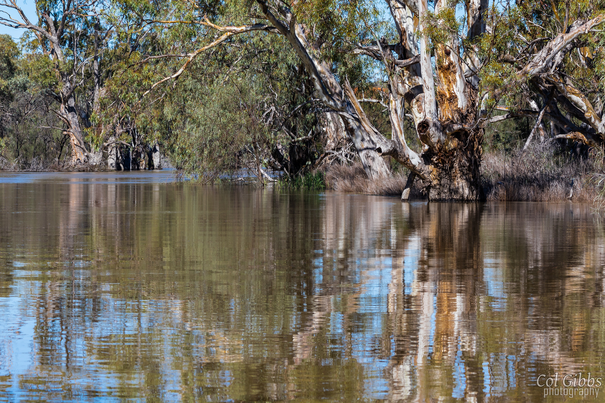 Canon EF 70-200mm F4L IS USM sample photo. Riverland reflections photography