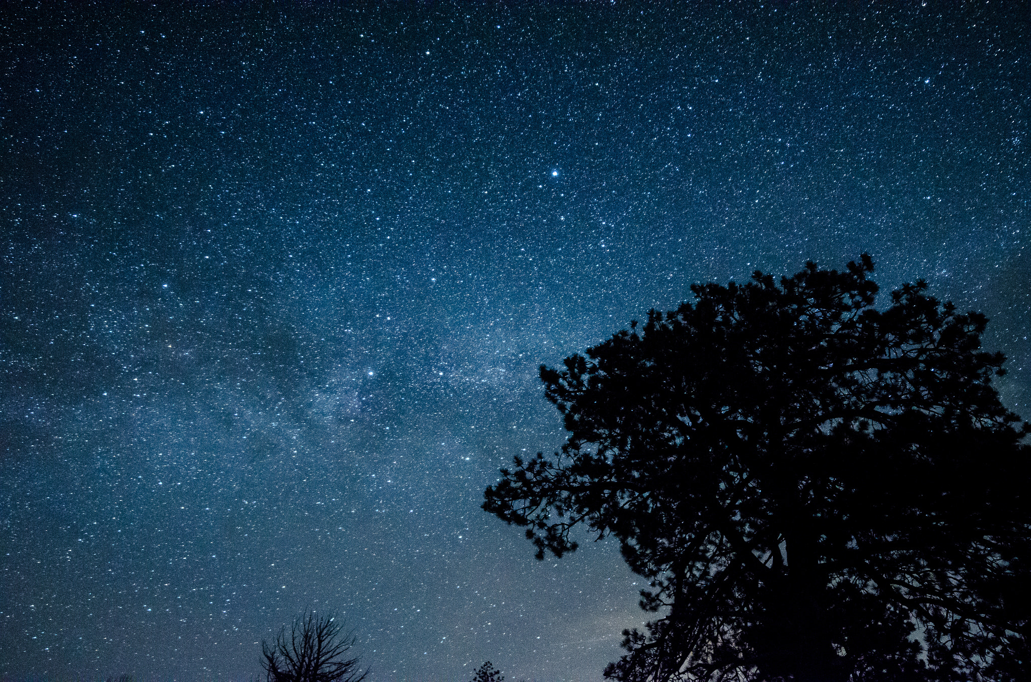 Samyang 14mm F2.8 ED AS IF UMC sample photo. In the moment. photography