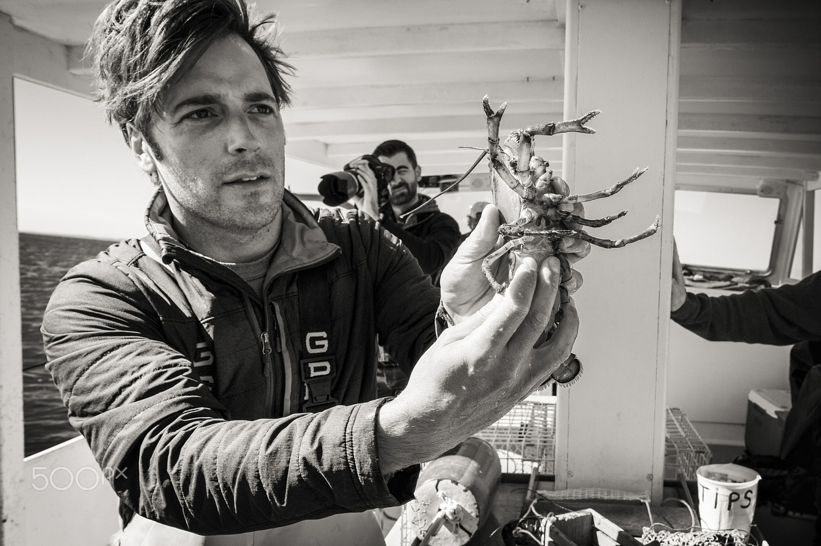 Nikon AF-S Nikkor 24-70mm F2.8E ED VR sample photo. Lobster fishing on the rugosa photography