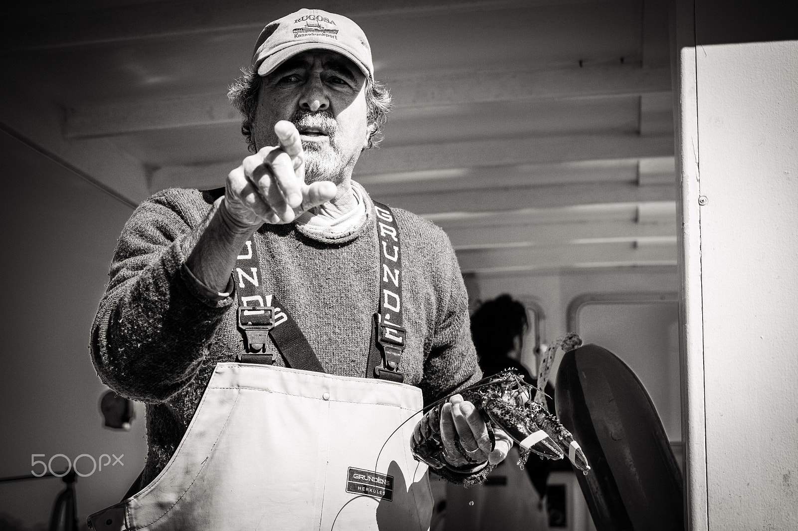 Nikon AF-S Nikkor 24-70mm F2.8E ED VR sample photo. Lobster fishing on the rugosa photography
