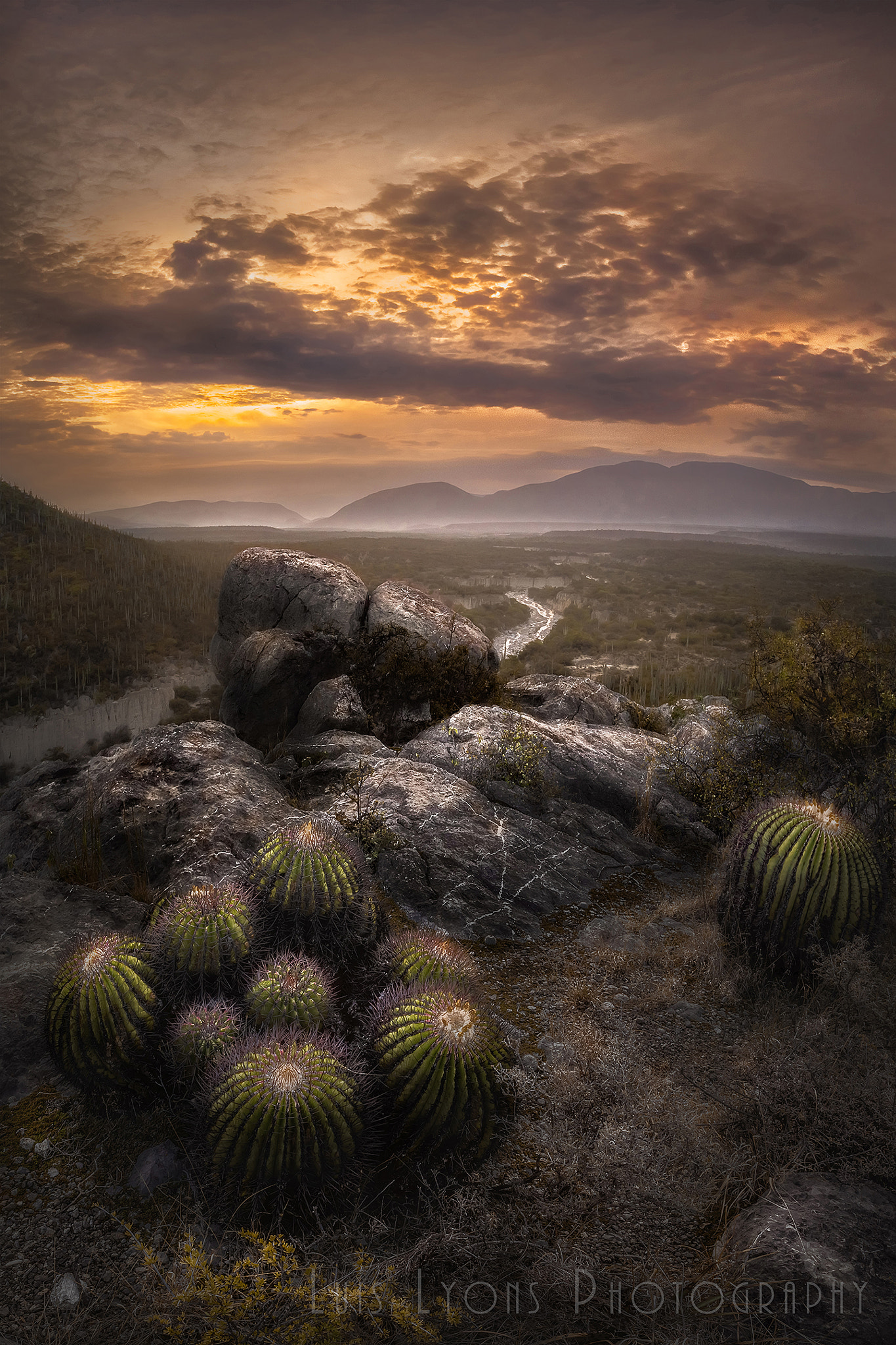 Nikon AF-S Nikkor 17-35mm F2.8D ED-IF sample photo. Cloudy desert morning photography