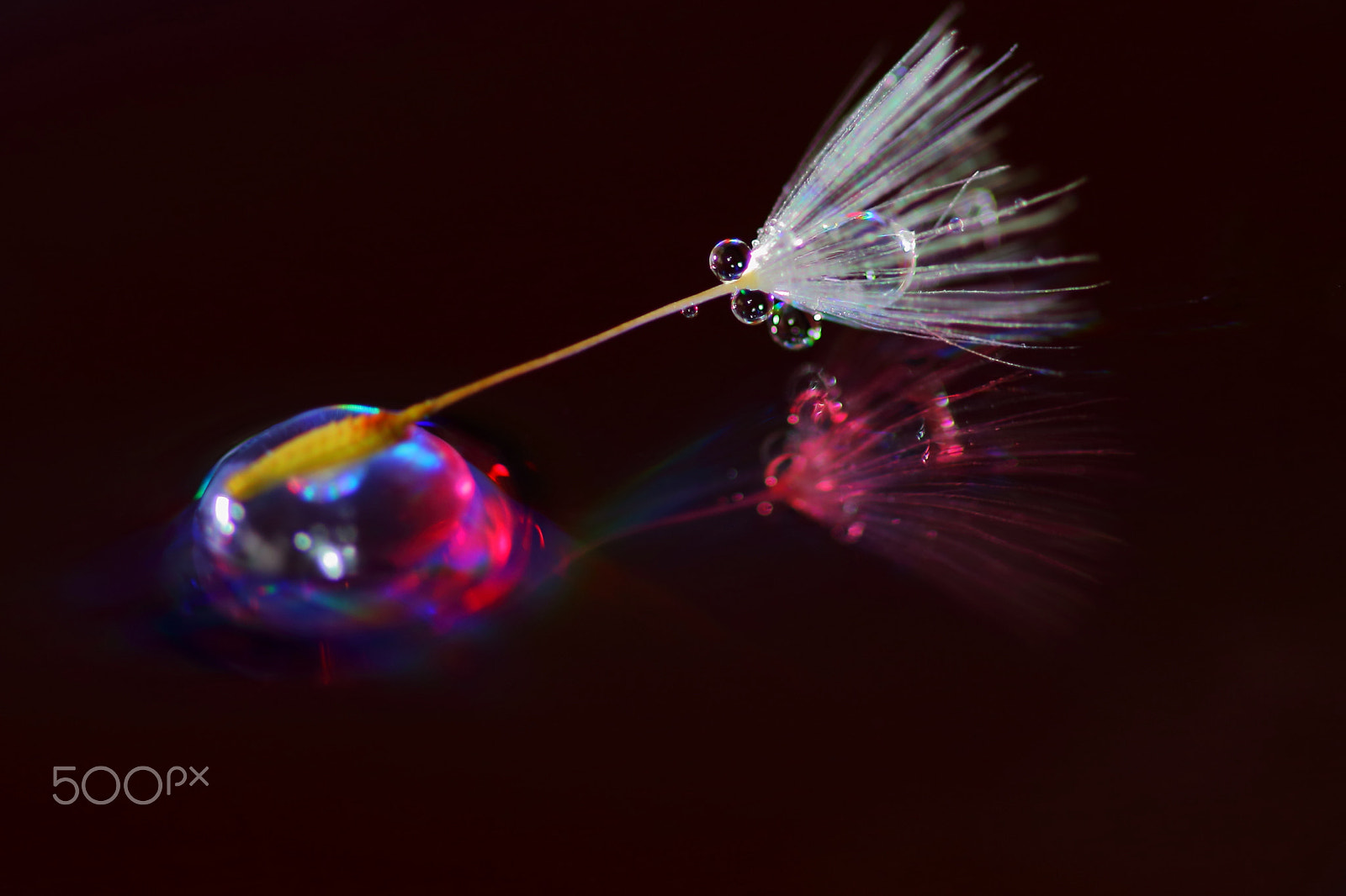 Canon EOS 700D (EOS Rebel T5i / EOS Kiss X7i) sample photo. Water and fluff photography