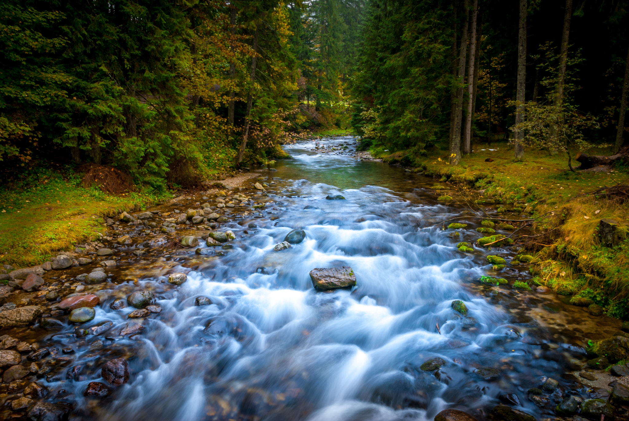 Sigma 17-70mm F2.8-4 DC Macro OS HSM | C sample photo. Dolina kościeliska in zakopane photography