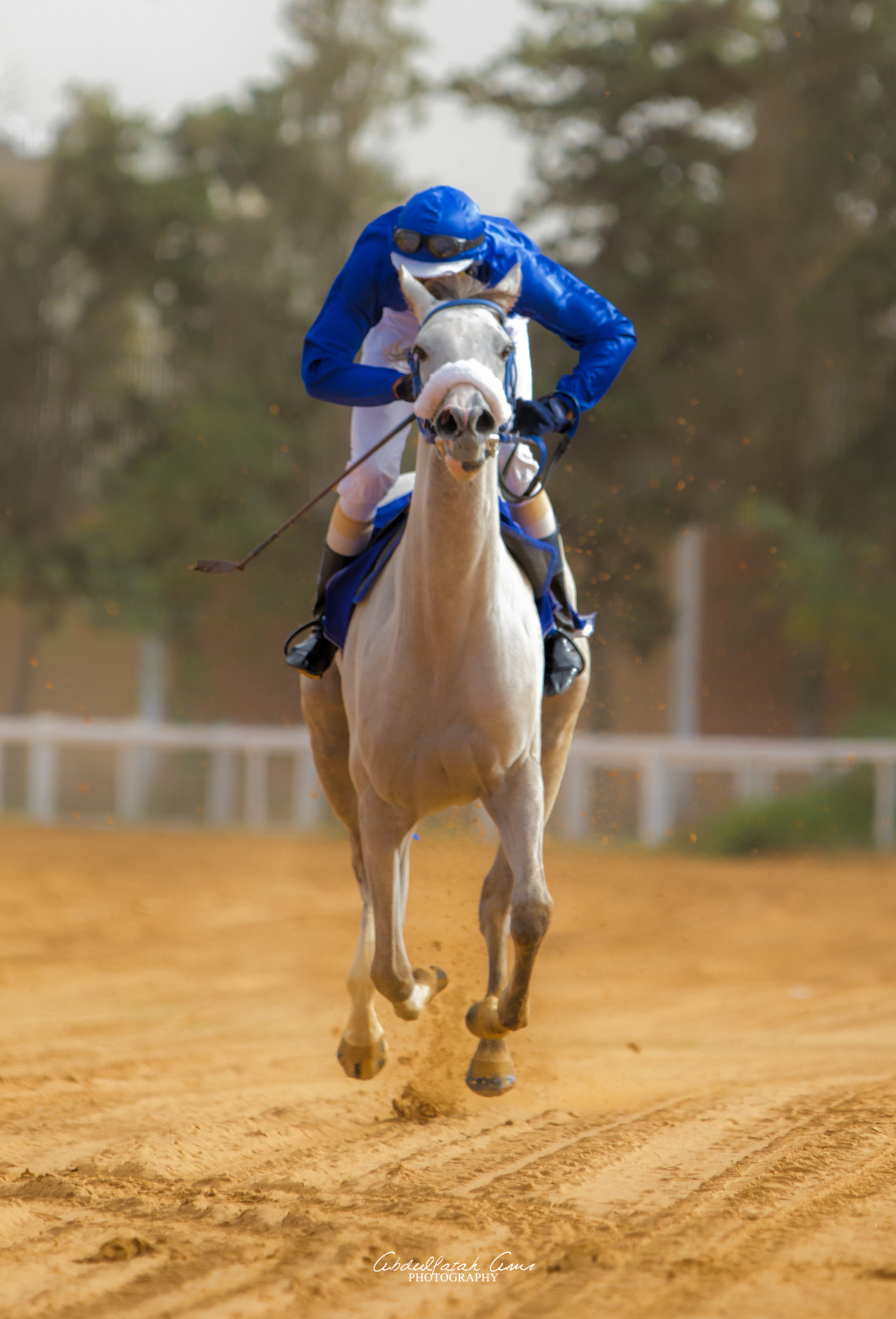 Sigma 70-200mm F2.8 EX DG OS HSM sample photo. Horse riding photography
