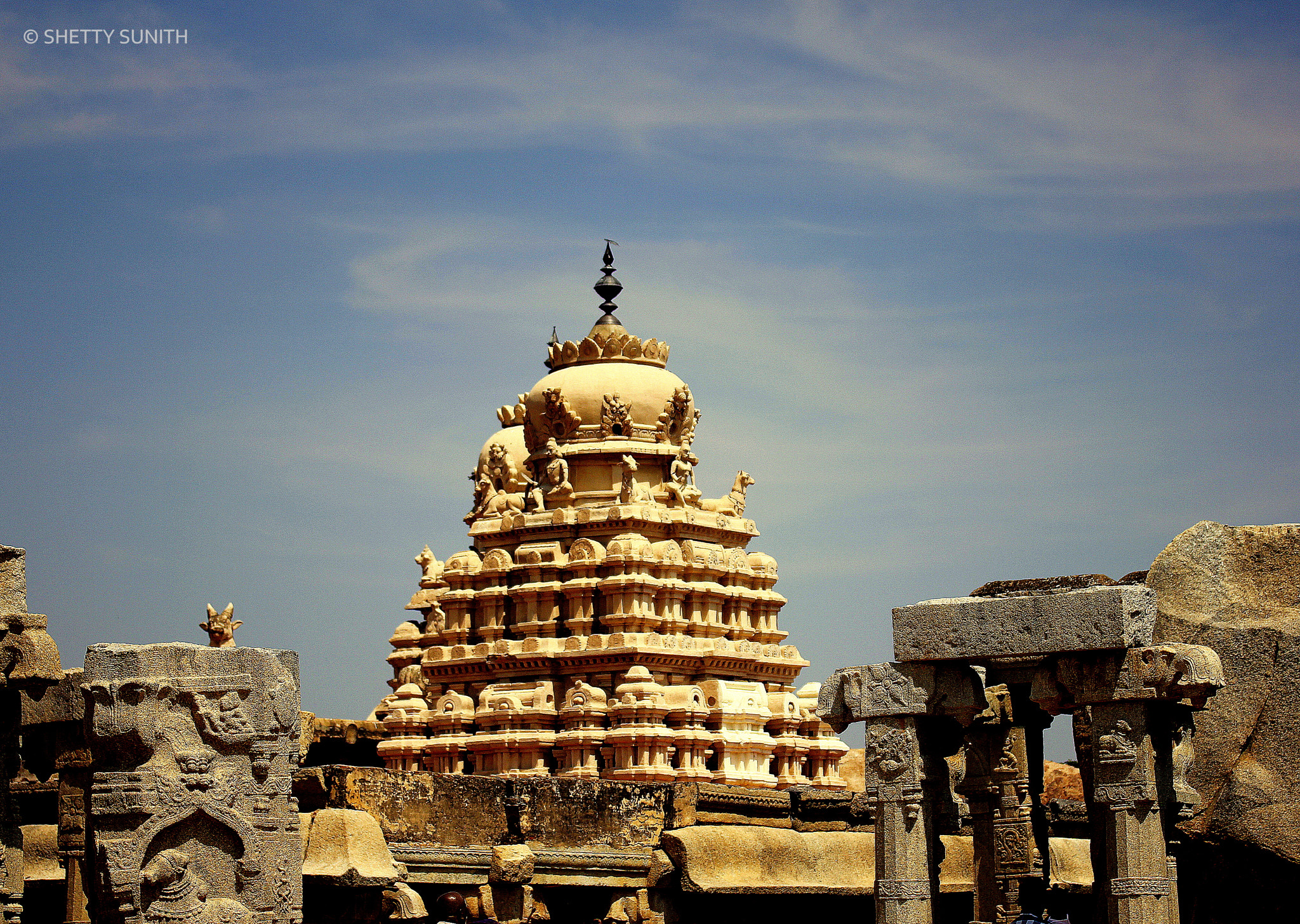 Canon EF-S 60mm F2.8 Macro USM sample photo. Lepakshi... photography