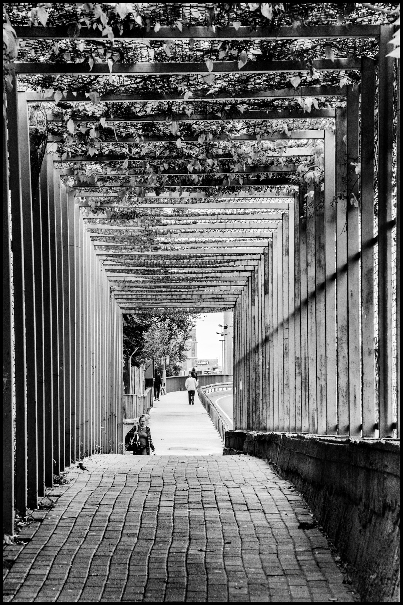 Canon EF 28-135mm F3.5-5.6 IS USM sample photo. A passage on the pavement.... photography