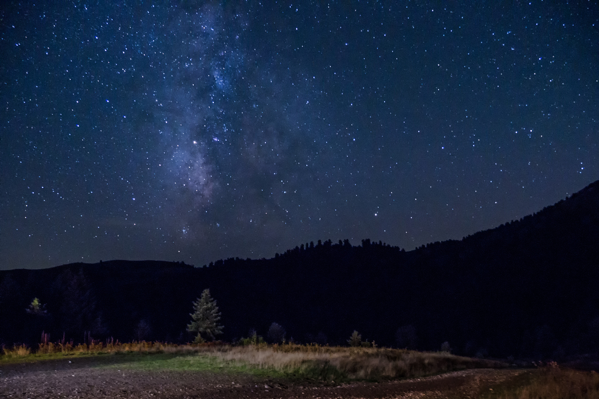 Olympus OM-D E-M10 sample photo. Reach for the stars photography