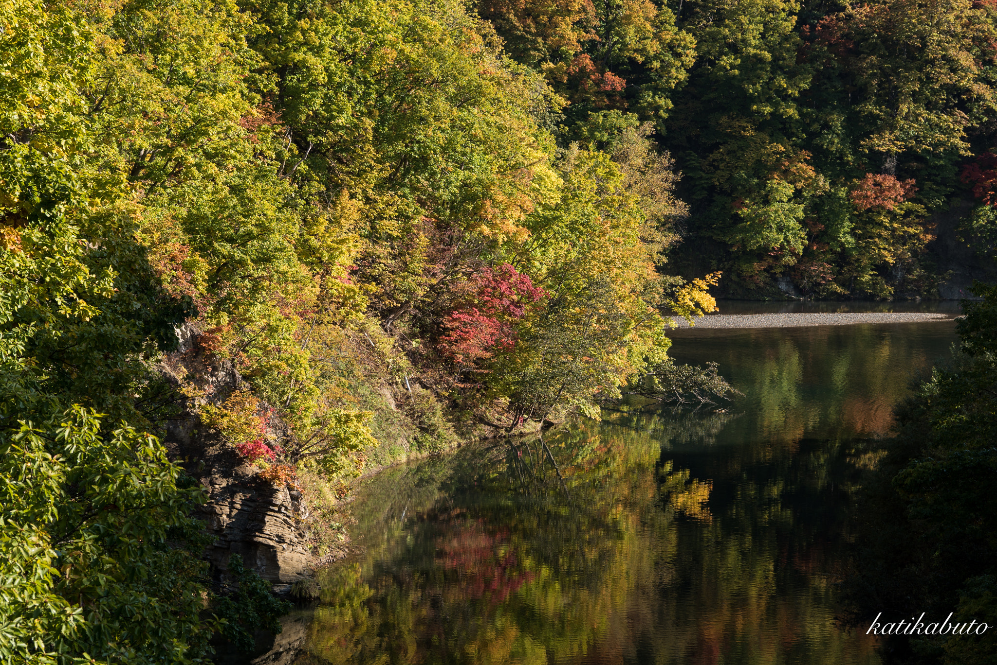 Sony 70-300mm F4.5-5.6 G SSM sample photo. Colored leaves in sapporo photography