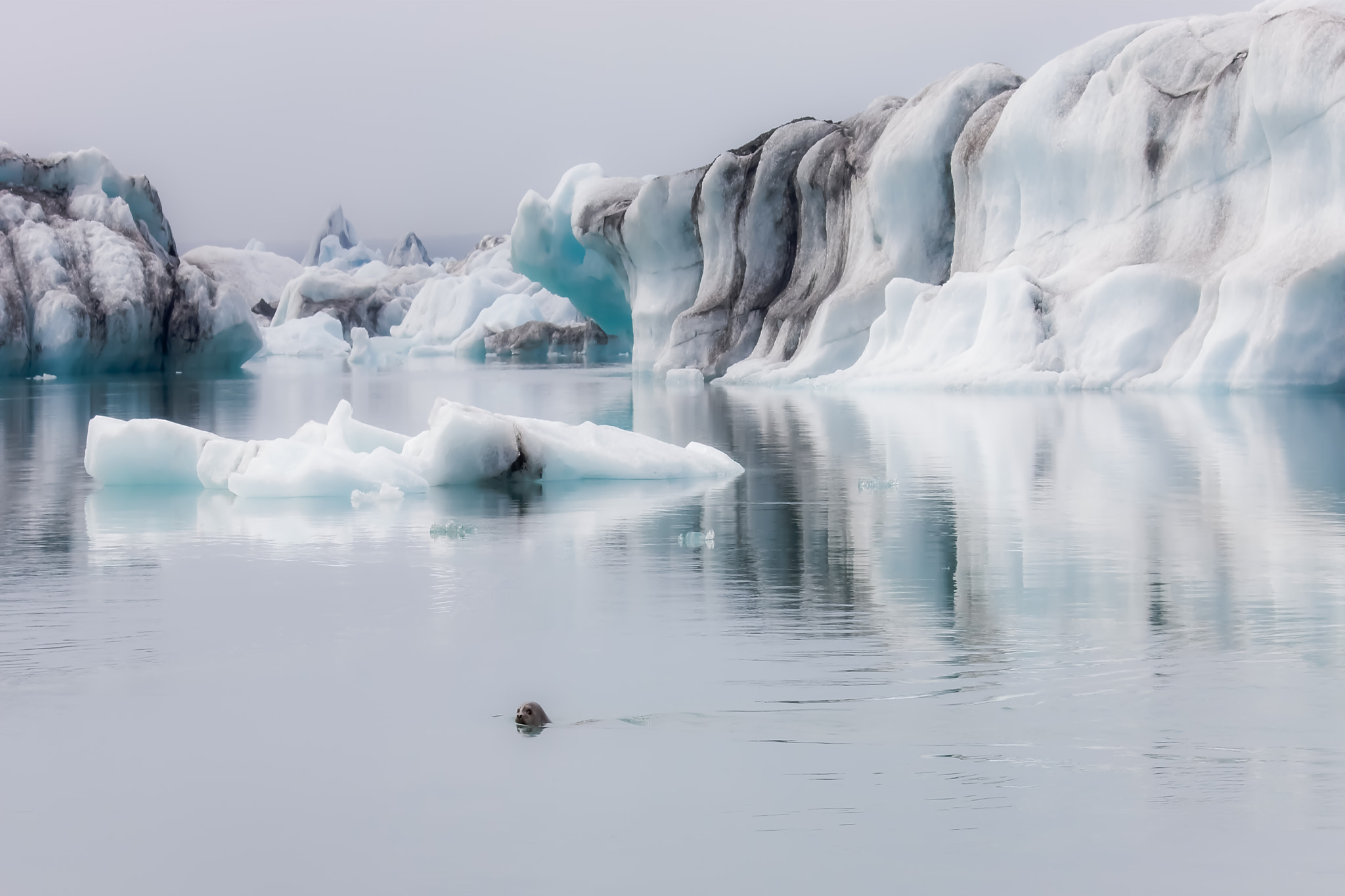 Canon EF 100-400mm F4.5-5.6L IS USM sample photo. Jokulsarlon, an icy fairytail. photography