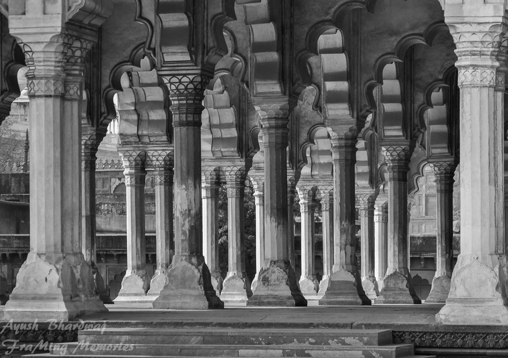 Nikon D3000 sample photo. Pillars of heritage photography