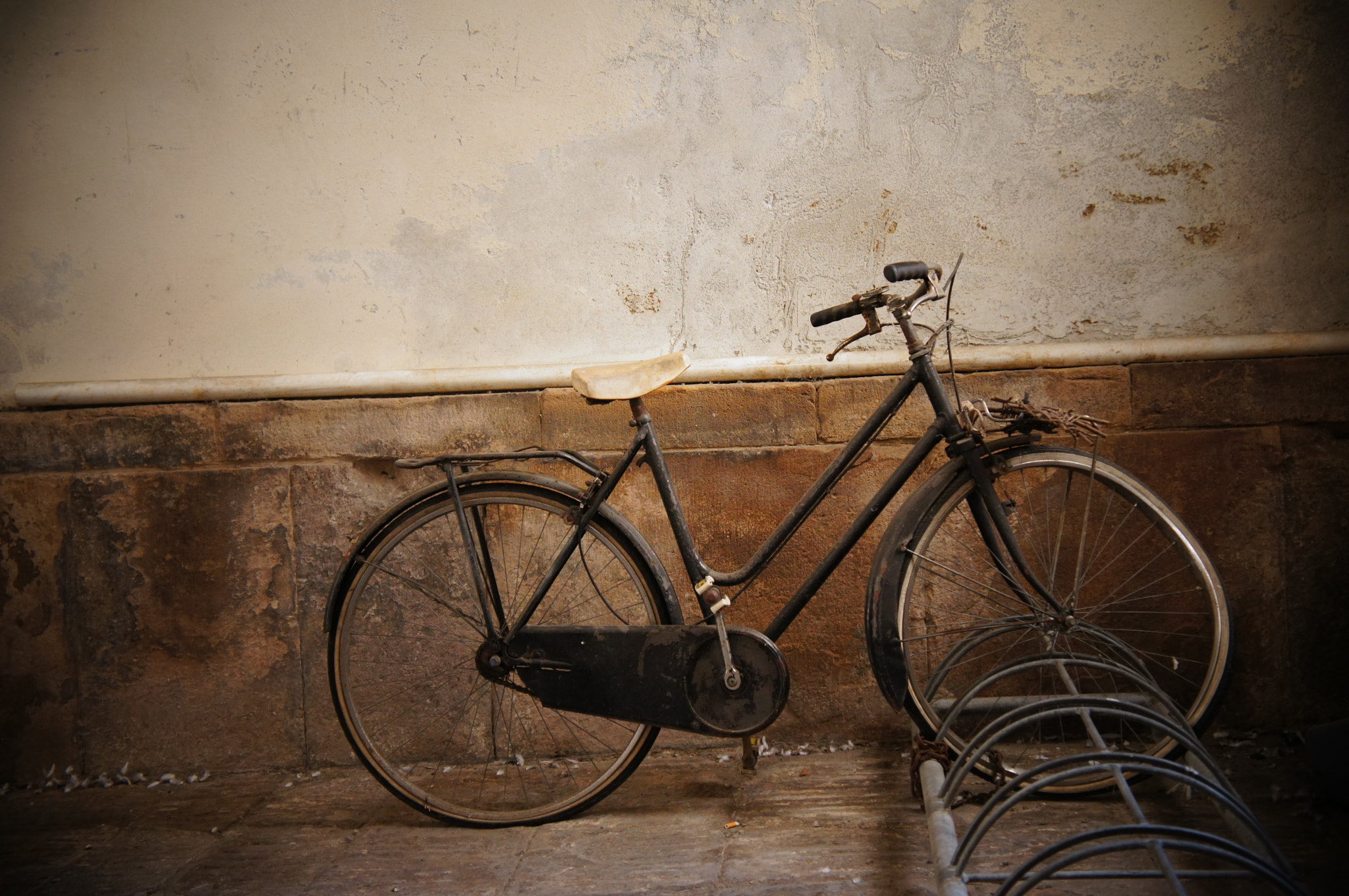 Sony Alpha NEX-C3 sample photo. Rädle in lucca photography
