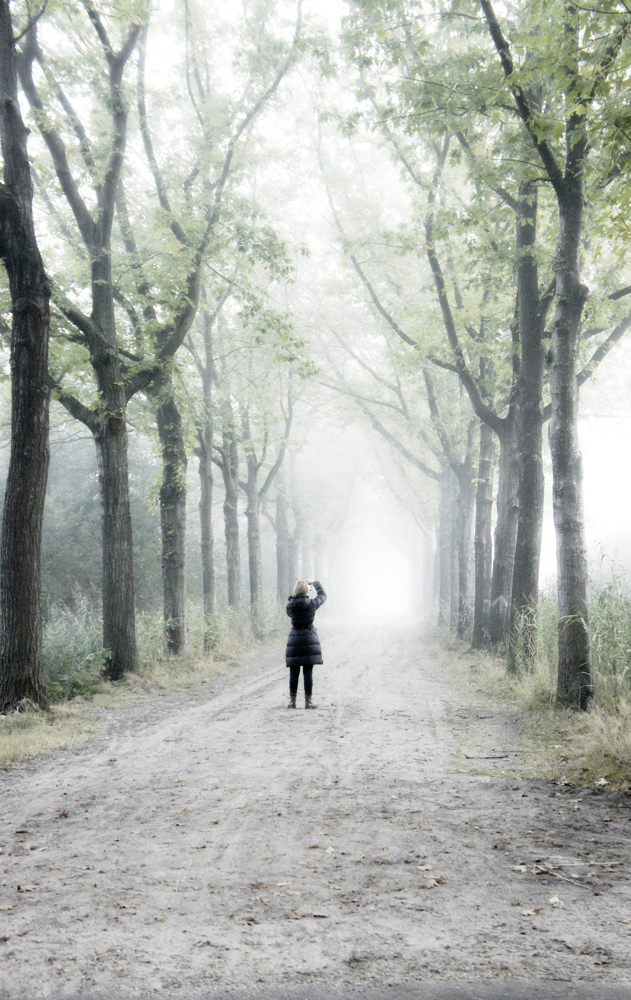 Sony Alpha NEX-3 sample photo. Foggy day photography