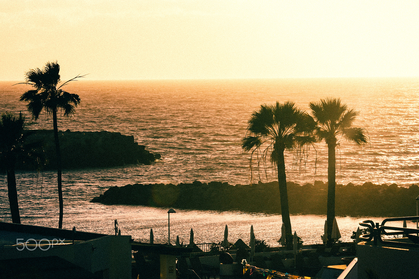 Canon EF-S 55-250mm F4-5.6 IS II sample photo. Summer mood photography