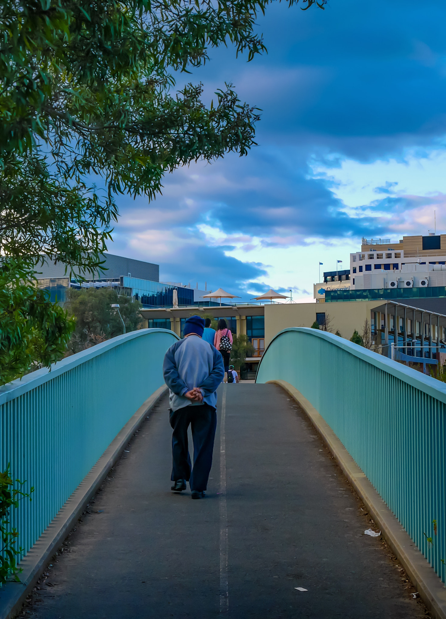 Panasonic DMC-GM1S + Panasonic Lumix G Vario HD 12-32mm F3.5-5.6 Mega OIS sample photo. Journey of a thousand miles start with a step - commonwealth park walk bridge, act, australia photography