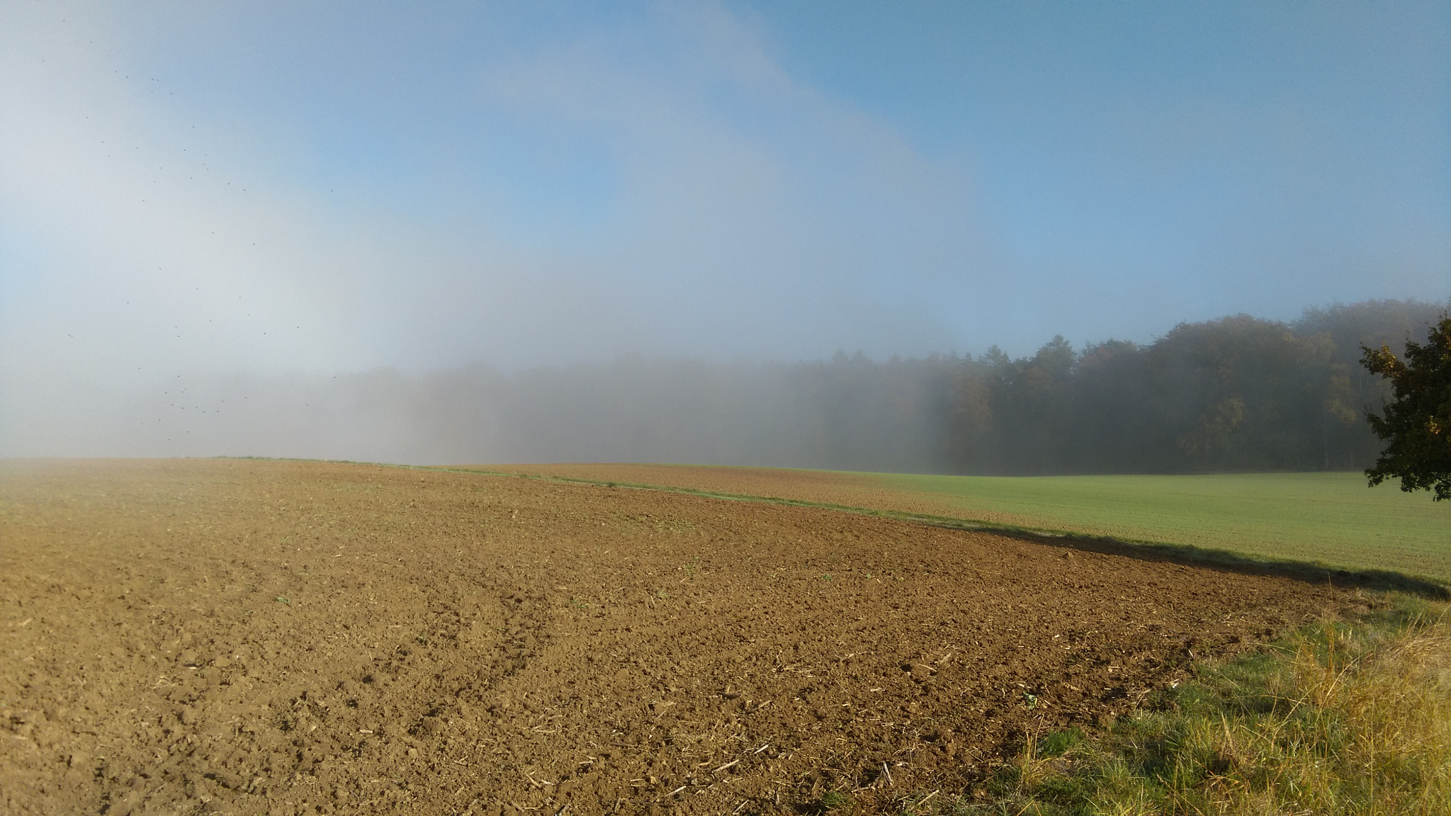HTC DESIRE EYE sample photo