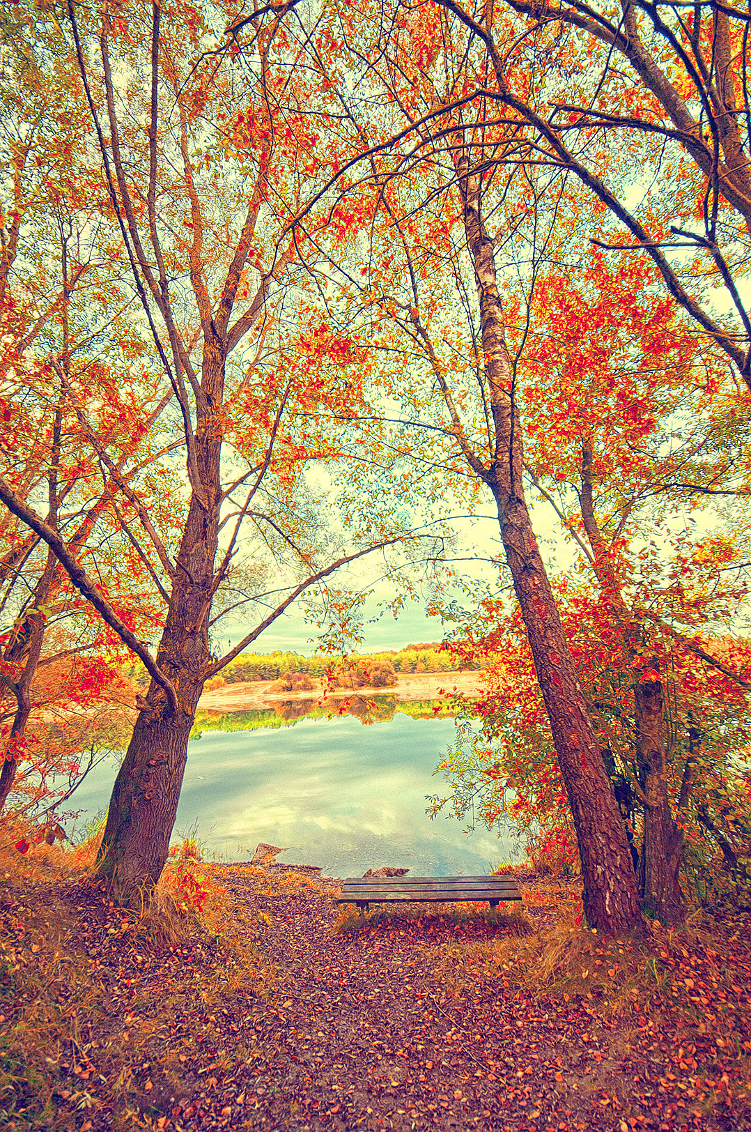 Sigma 8-16mm F4.5-5.6 DC HSM sample photo. Autumn photography