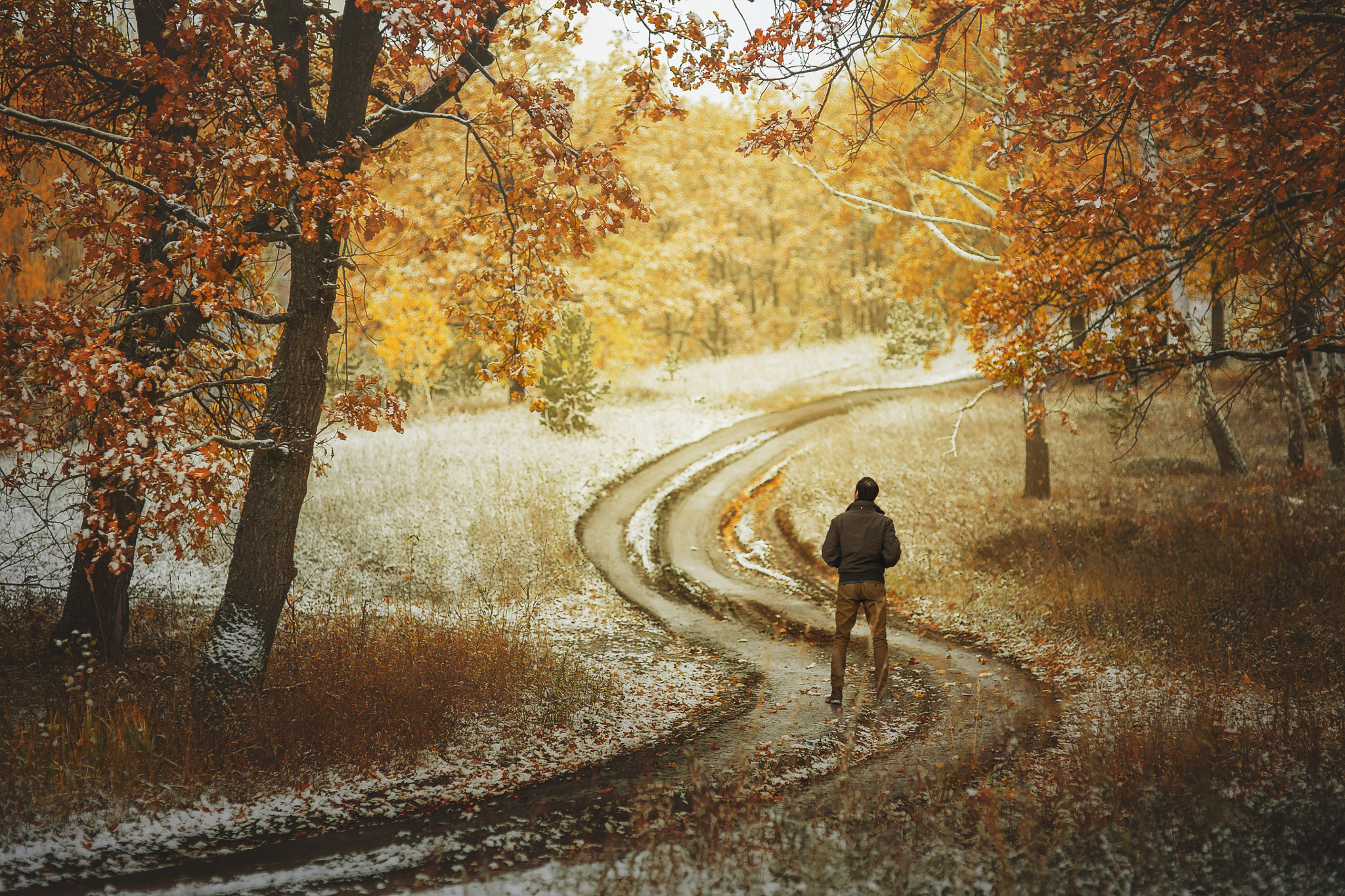 Canon EOS 5D + Sigma 85mm F1.4 EX DG HSM sample photo. The first snow in the autumnal forest photography