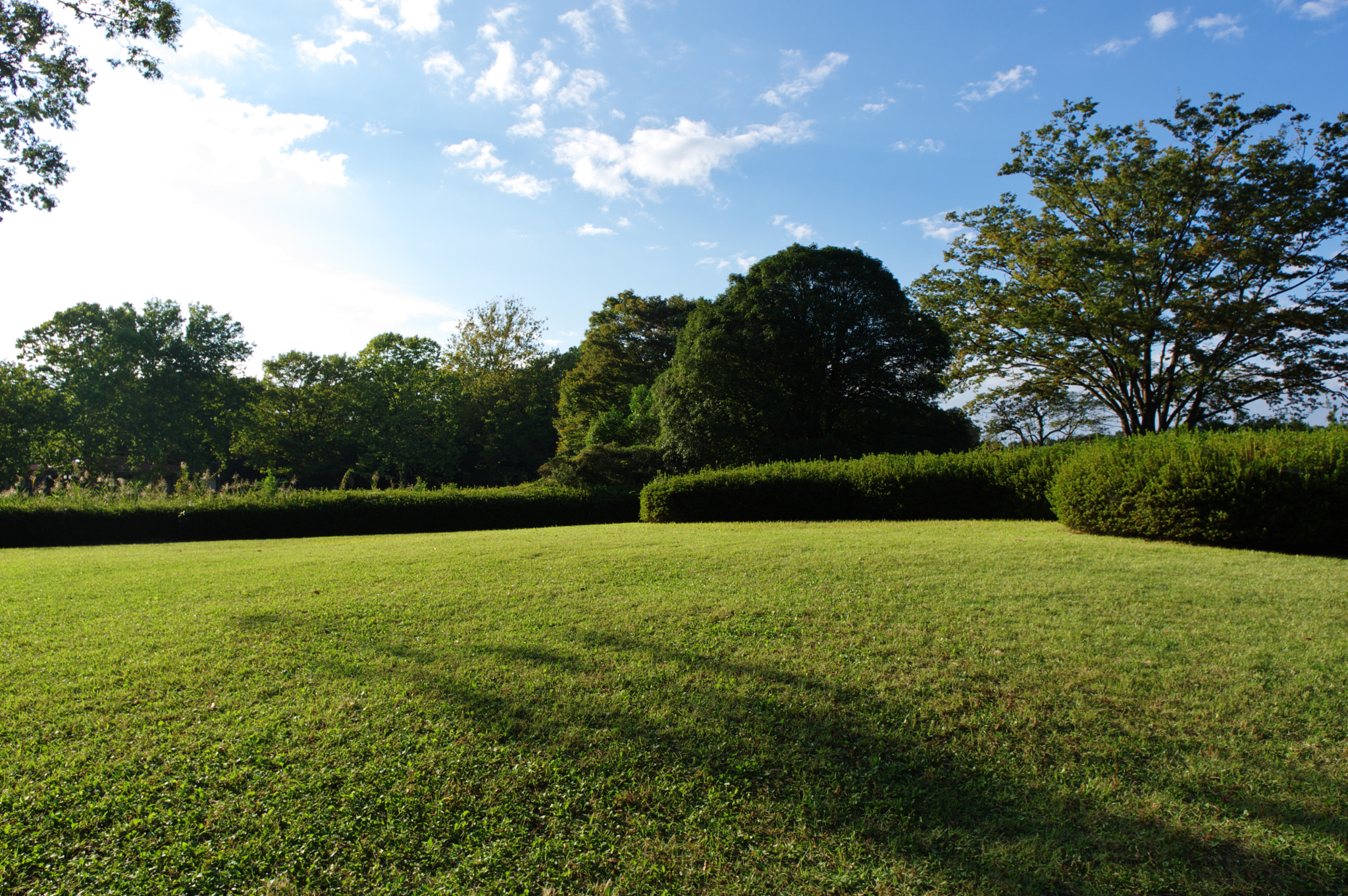 Pentax K-3 + Pentax smc DA 15mm F4 ED AL Limited sample photo. Some bright futures... photography