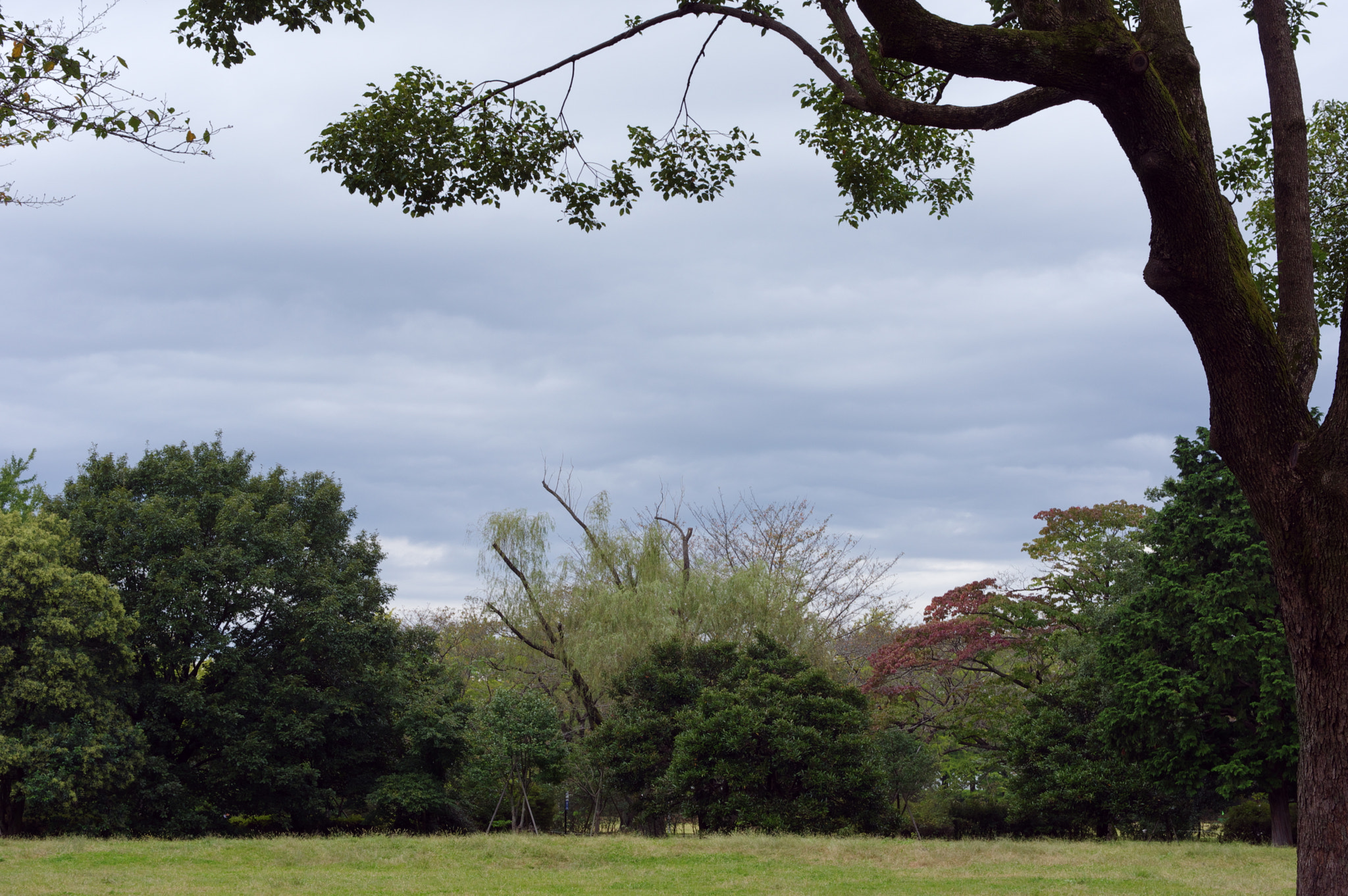 Pentax smc DA 40mm F2.8 Limited sample photo. Calm and comfortable... photography