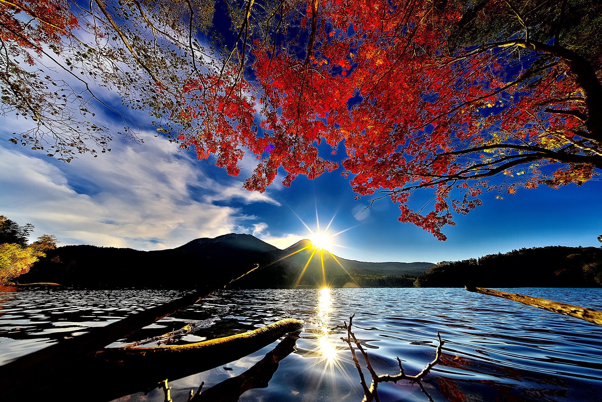 E 10mm F5.6 sample photo. Child of the sun photography