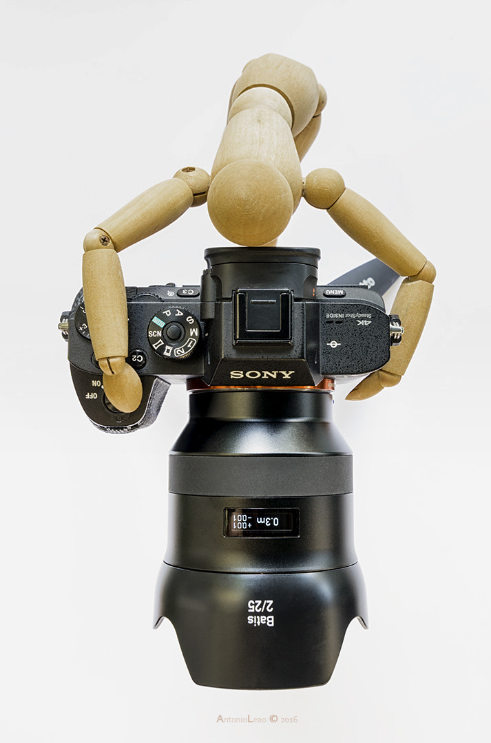 Sony a6000 + Sony Vario-Tessar T* FE 16-35mm F4 ZA OSS sample photo. Super model photography