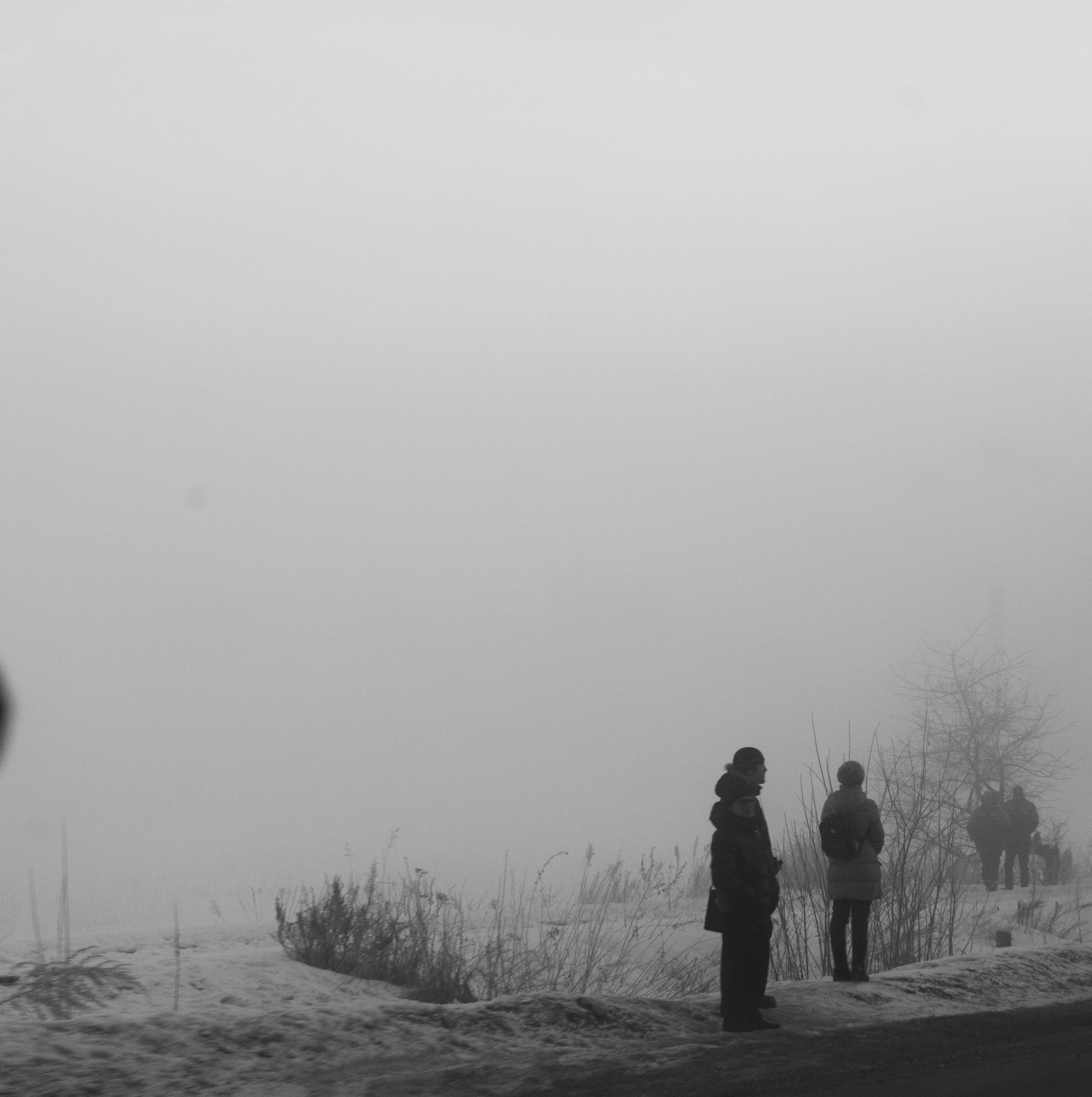 Canon EF 35-80mm f/4-5.6 sample photo. Fog photography