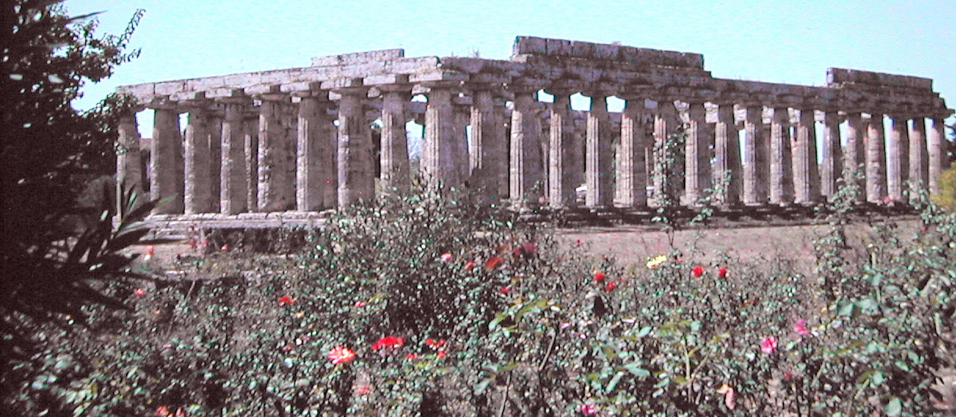 Nikon E885 sample photo. 1977  poseidonia o paestum photography