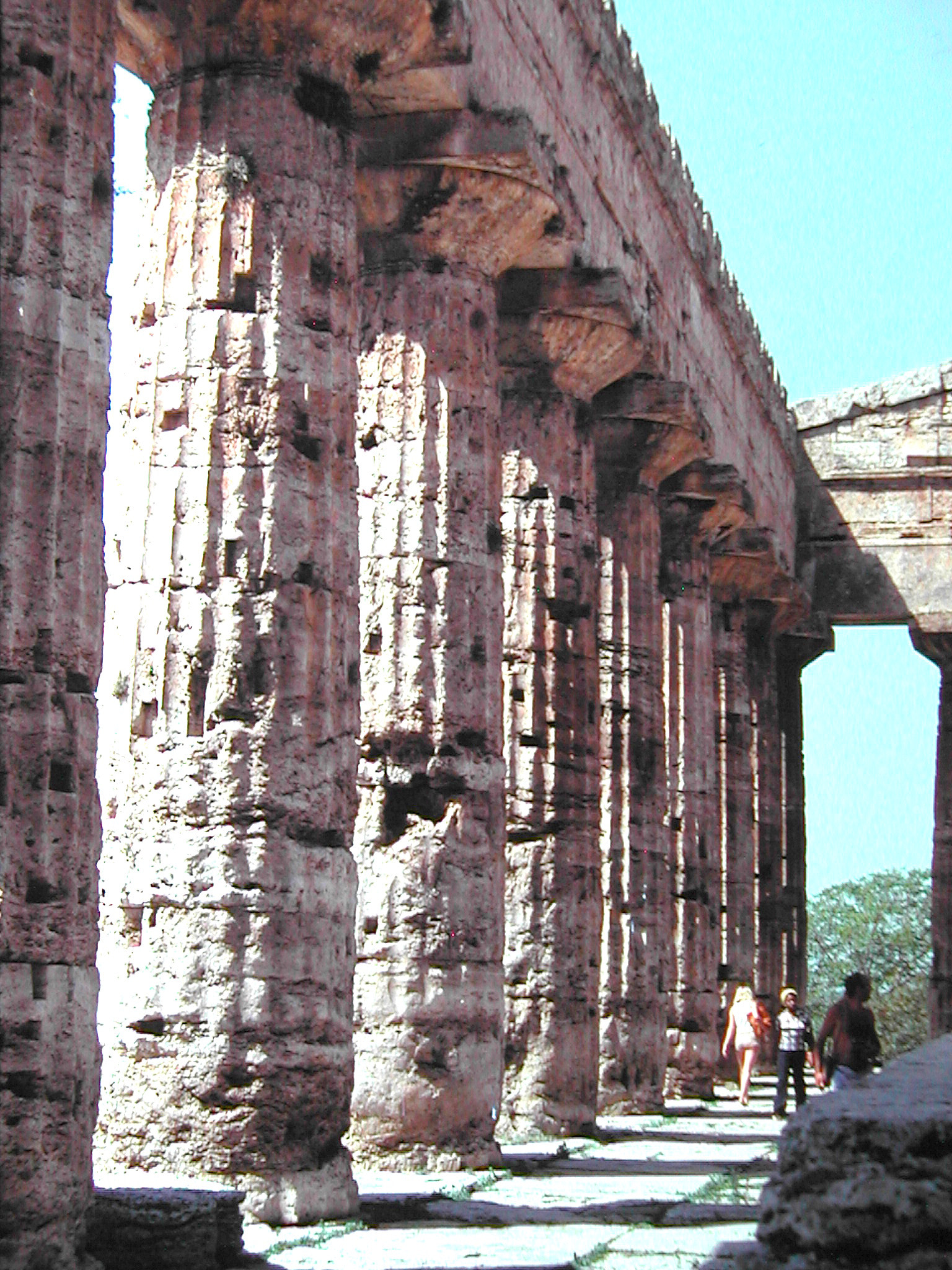 Nikon E885 sample photo. 1977  poseidonia o paestum photography